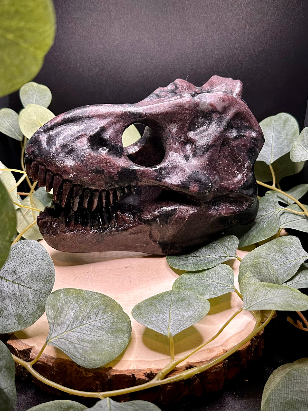 Garnet T-Rex Head - Still Water Crystals
