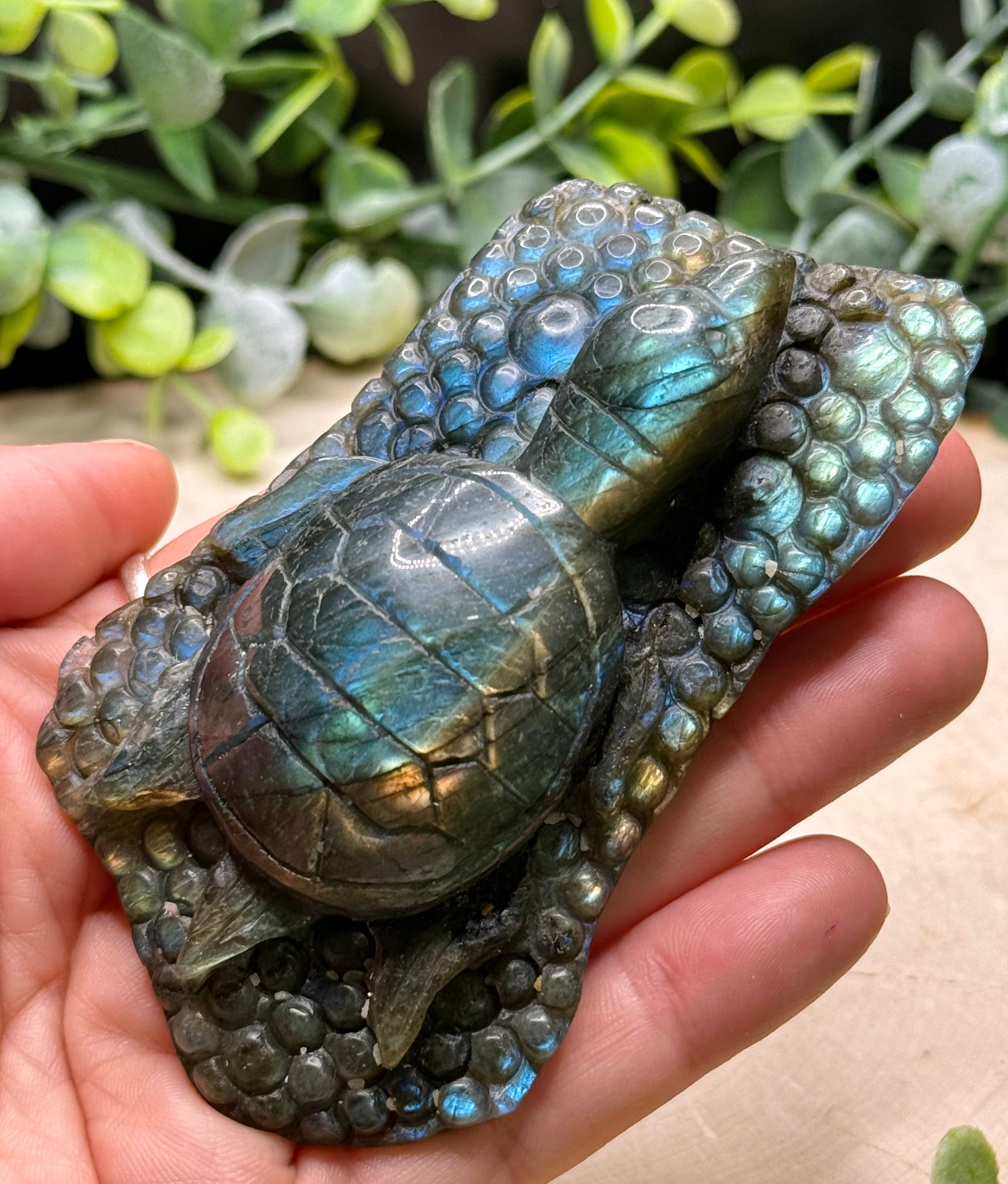 Labradorite Sea Turtle Carvings
