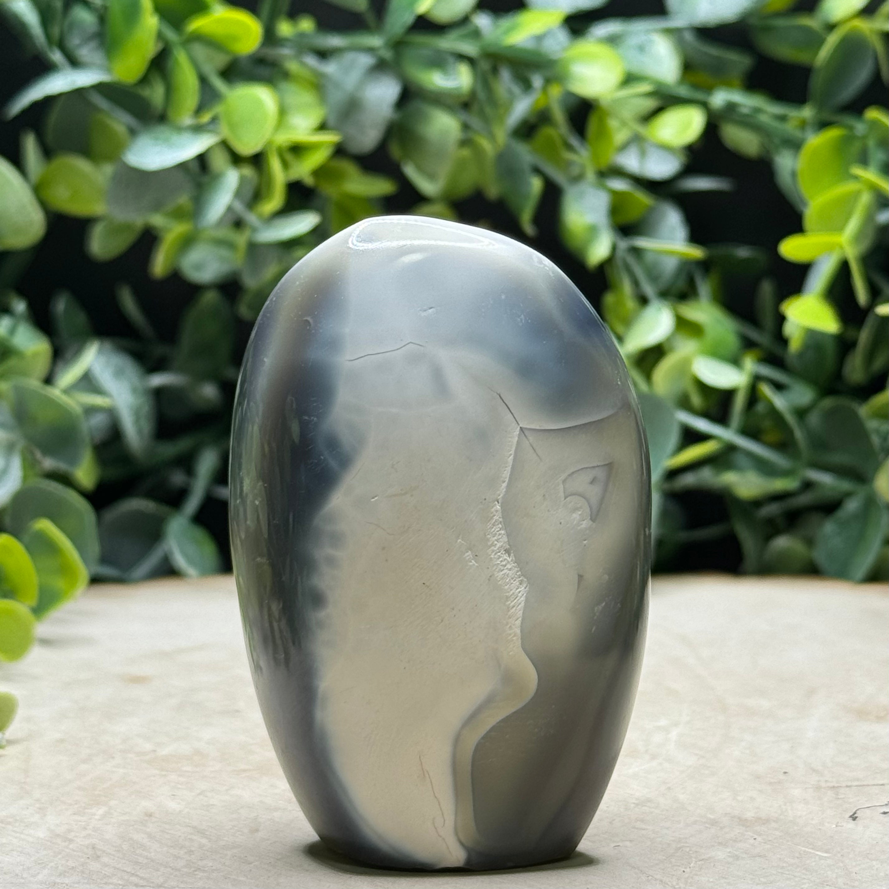 Orca Agate Freeforms | Polished Black and White Agate Display Pieces