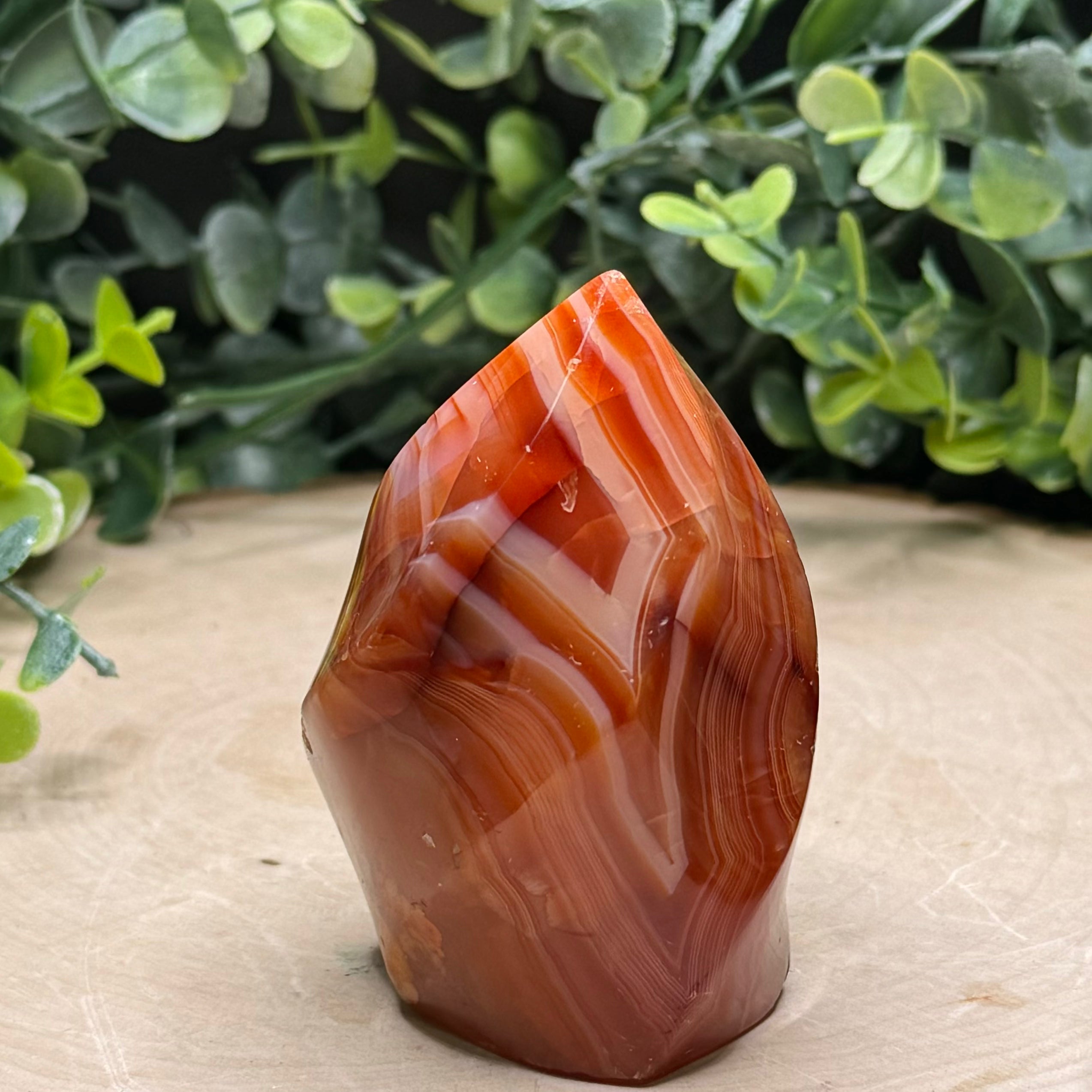 Carnelian Flame Carvings | Natural Polished Carnelian Flames | Red Agate Crystal Decor