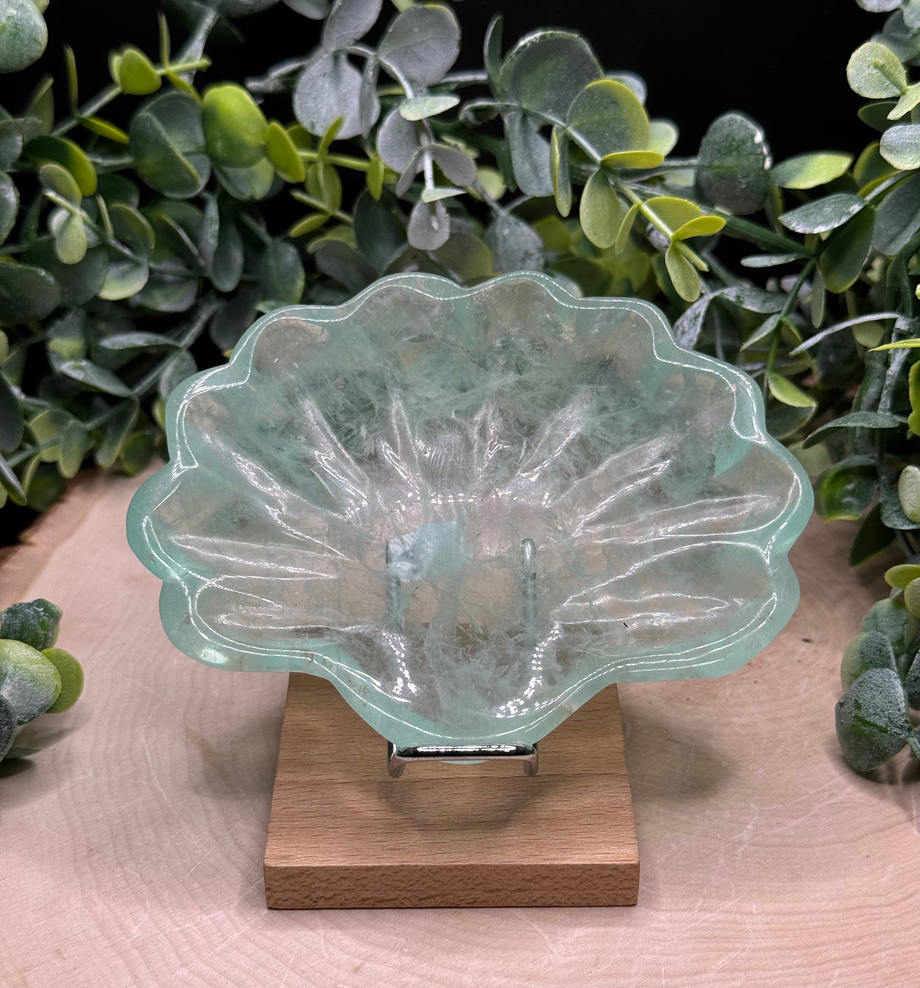 Fluorite Seashell Bowl | Crystal Jewelry Dish | Natural Stone Home Decor - Still Water Crystals