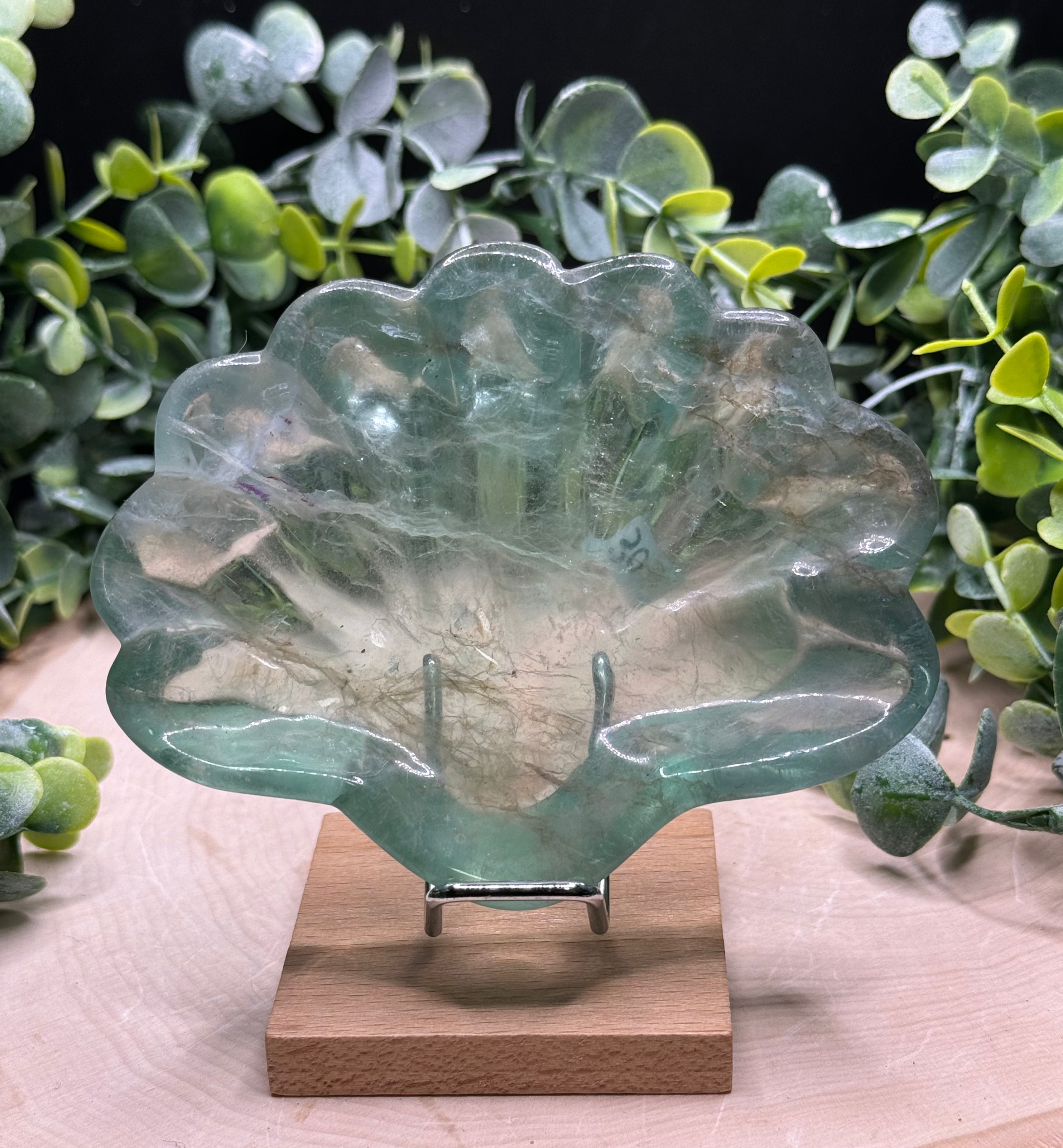 Fluorite Seashell Bowl | Crystal Jewelry Dish | Natural Stone Home Decor - Still Water Crystals