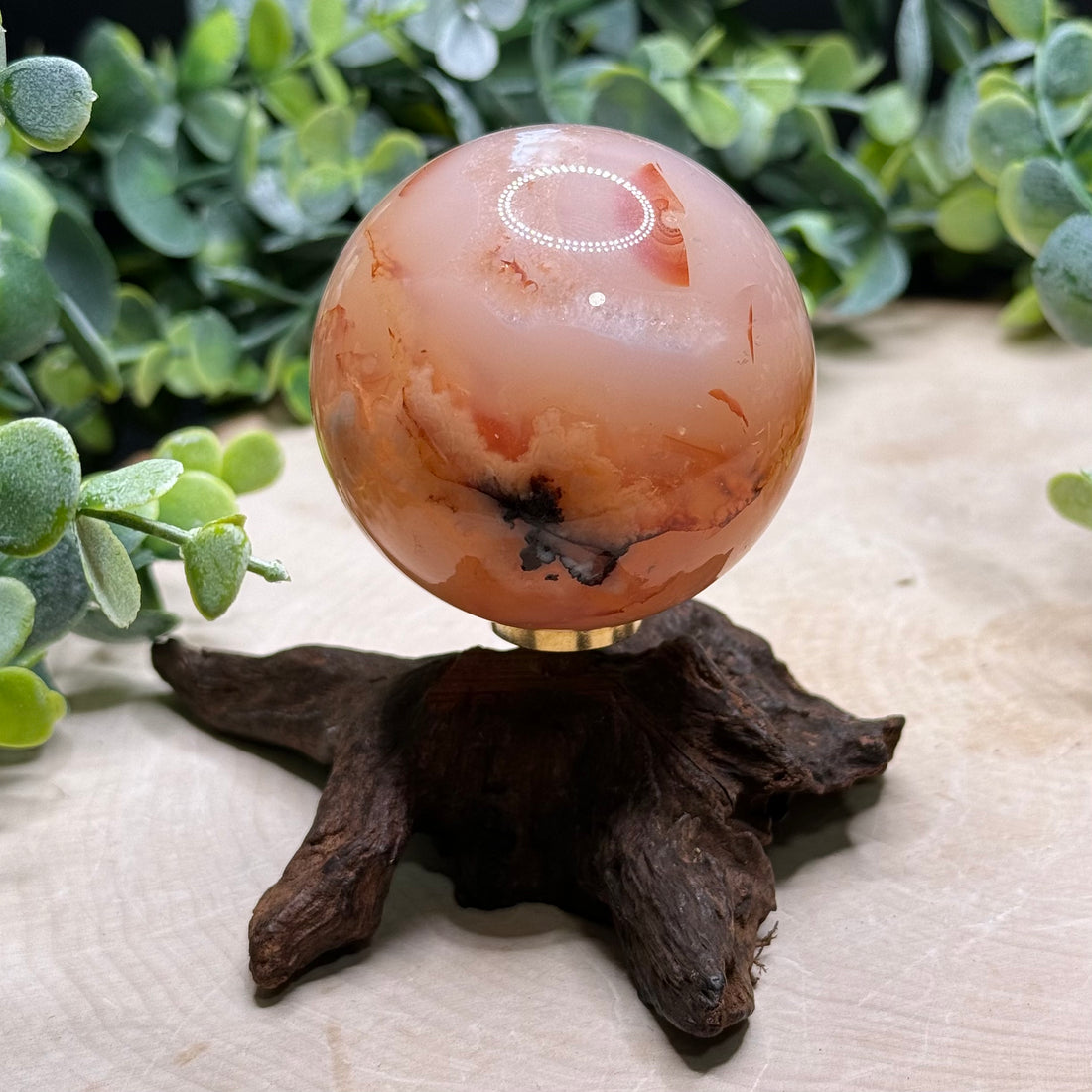 Carnelian Flower Agate Spheres | Natural Crystal Spheres with Flower Plumes