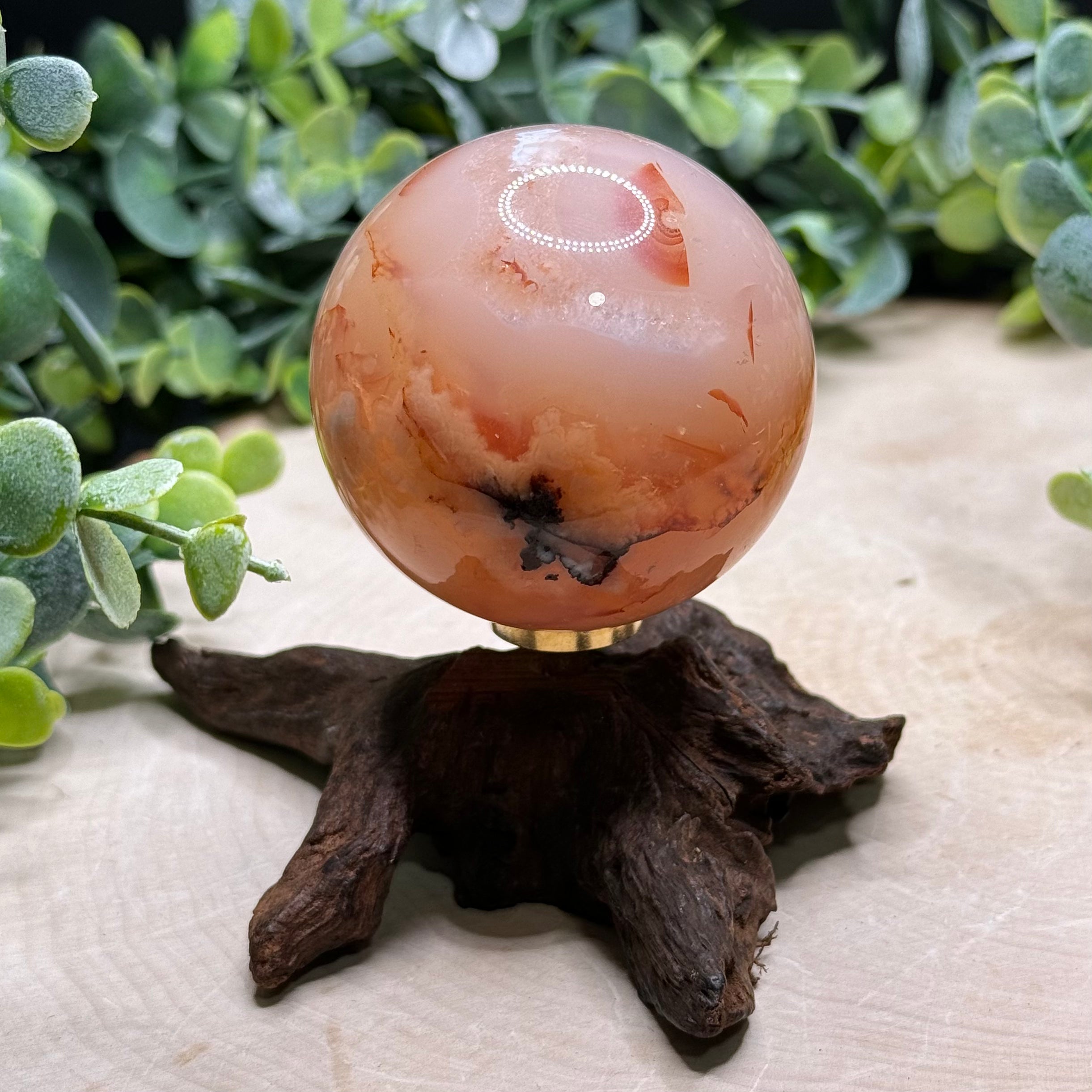 Carnelian Flower Agate Spheres | Natural Crystal Spheres with Flower Plumes