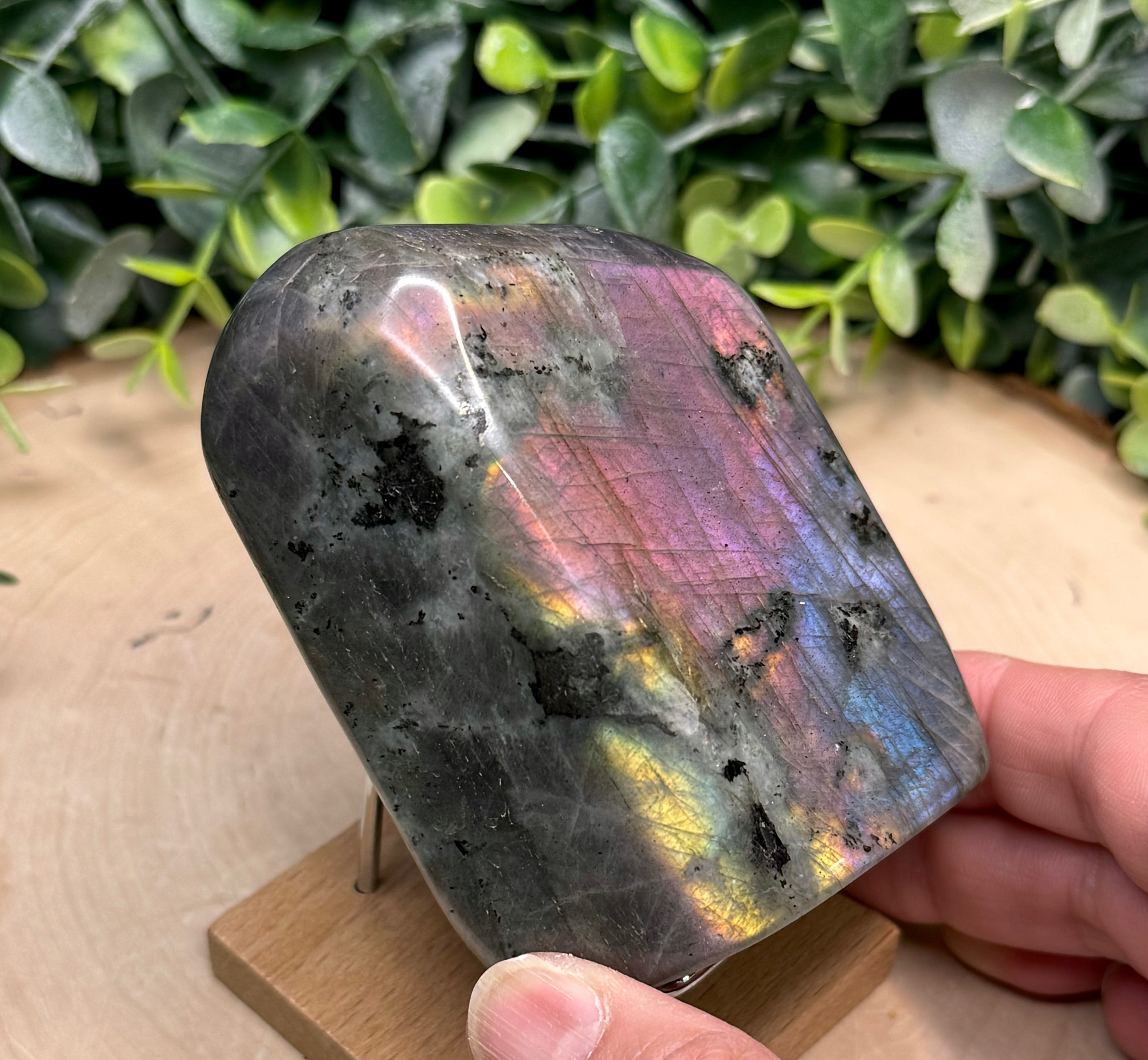 Purple Flash Labradorite Freeforms | Polished Labradorite Display Pieces