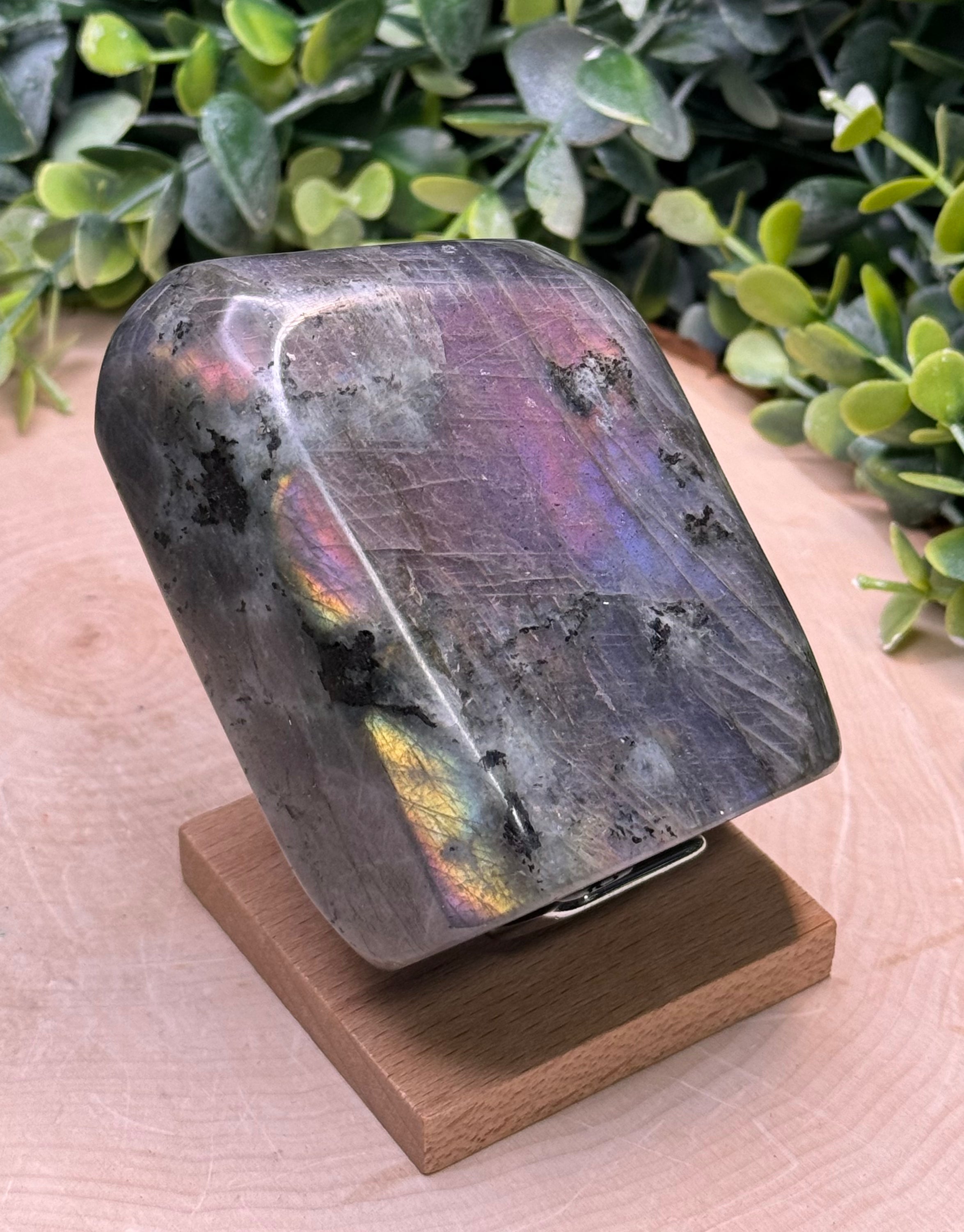 Purple Flash Labradorite Freeforms | Polished Labradorite Display Pieces
