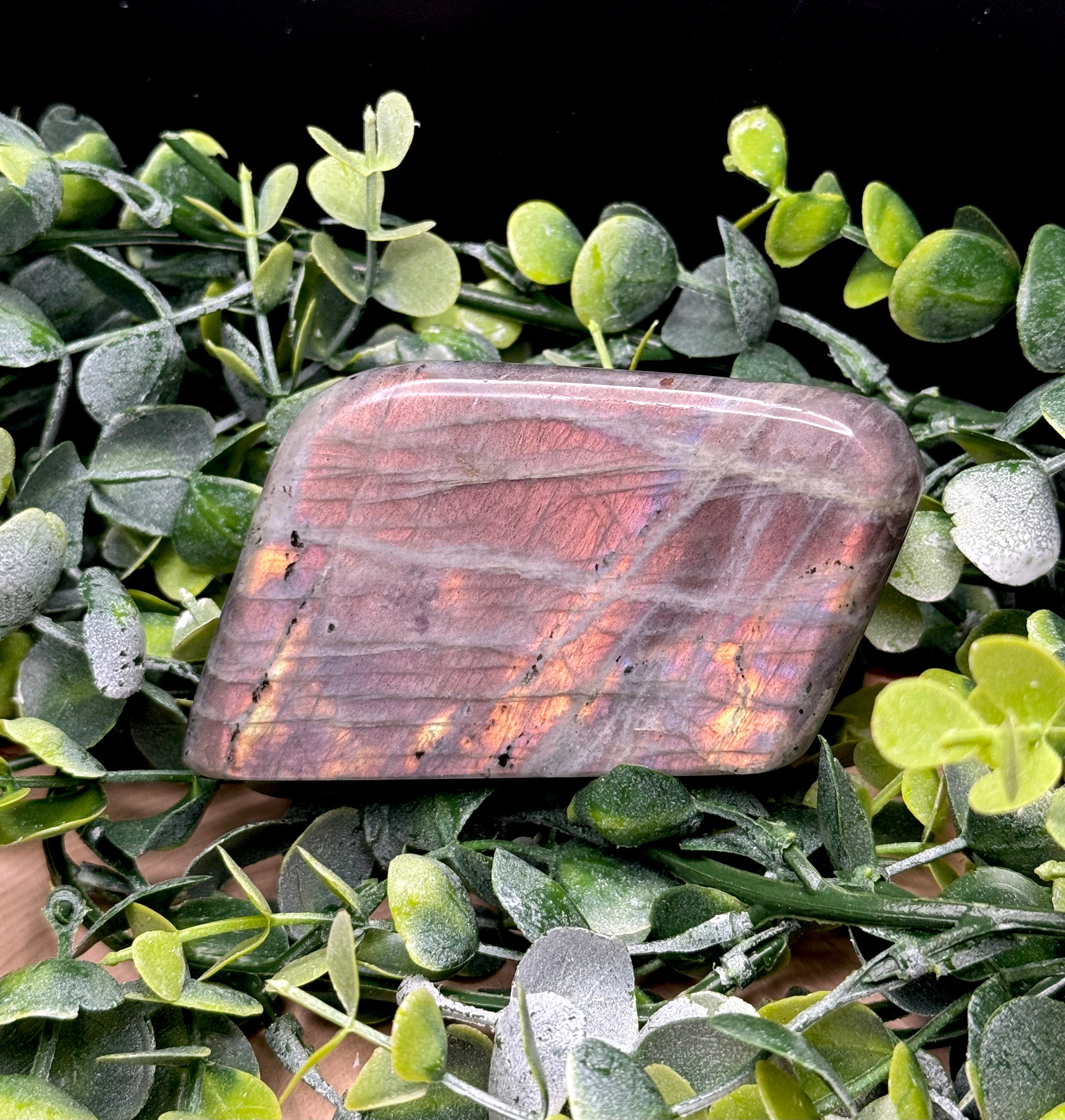 Purple Flash Labradorite Freeforms | Polished Labradorite Display Pieces