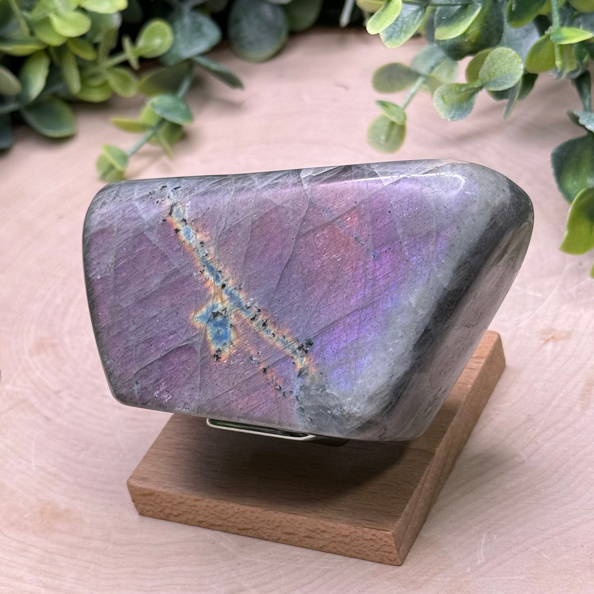 Purple Flash Labradorite Freeforms | Polished Labradorite Display Pieces
