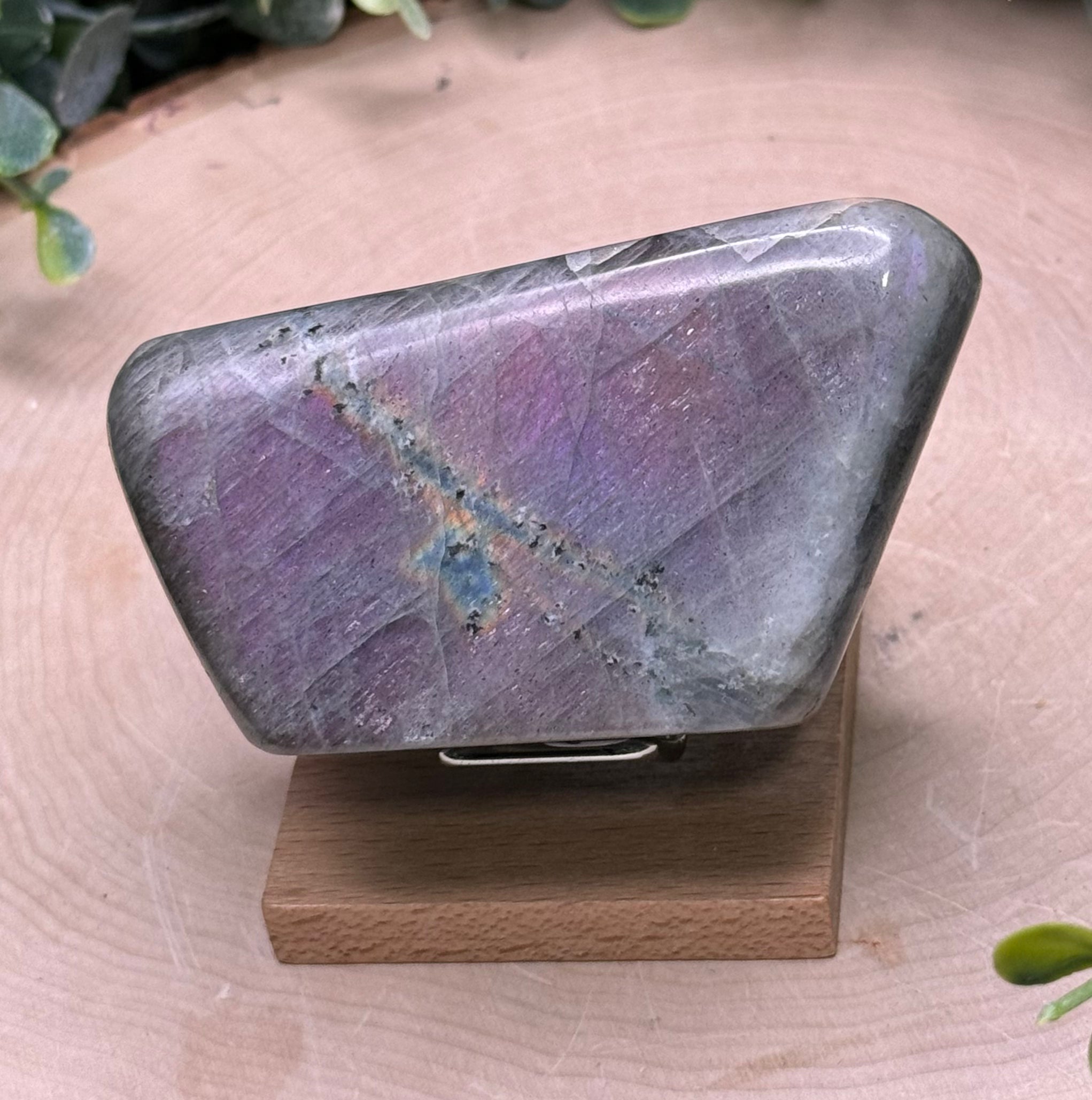 Purple Flash Labradorite Freeforms | Polished Labradorite Display Pieces