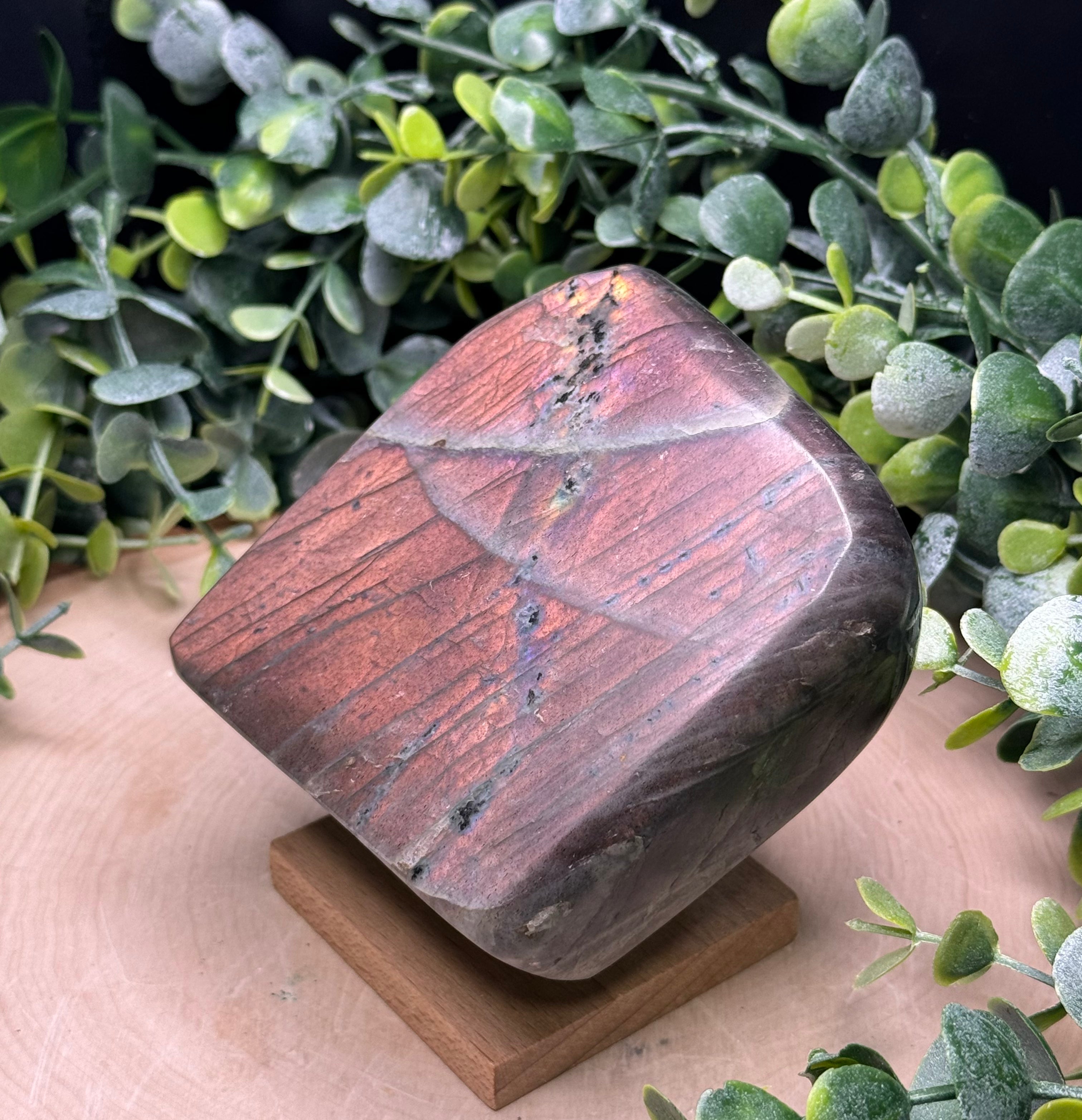 Purple Flash Labradorite Freeforms | Polished Labradorite Display Pieces