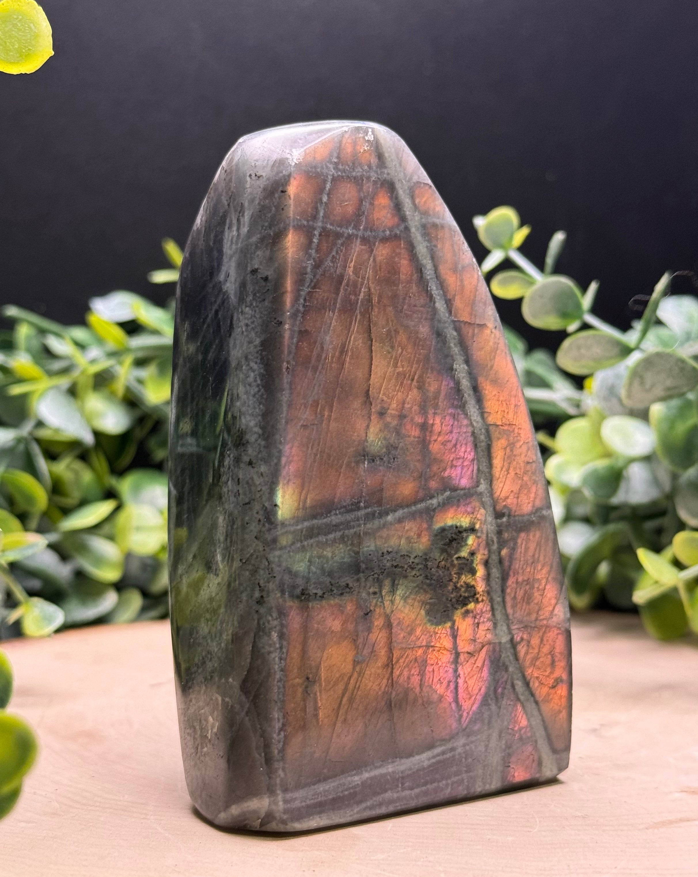 Purple Flash Labradorite Freeforms | Polished Labradorite Display Pieces