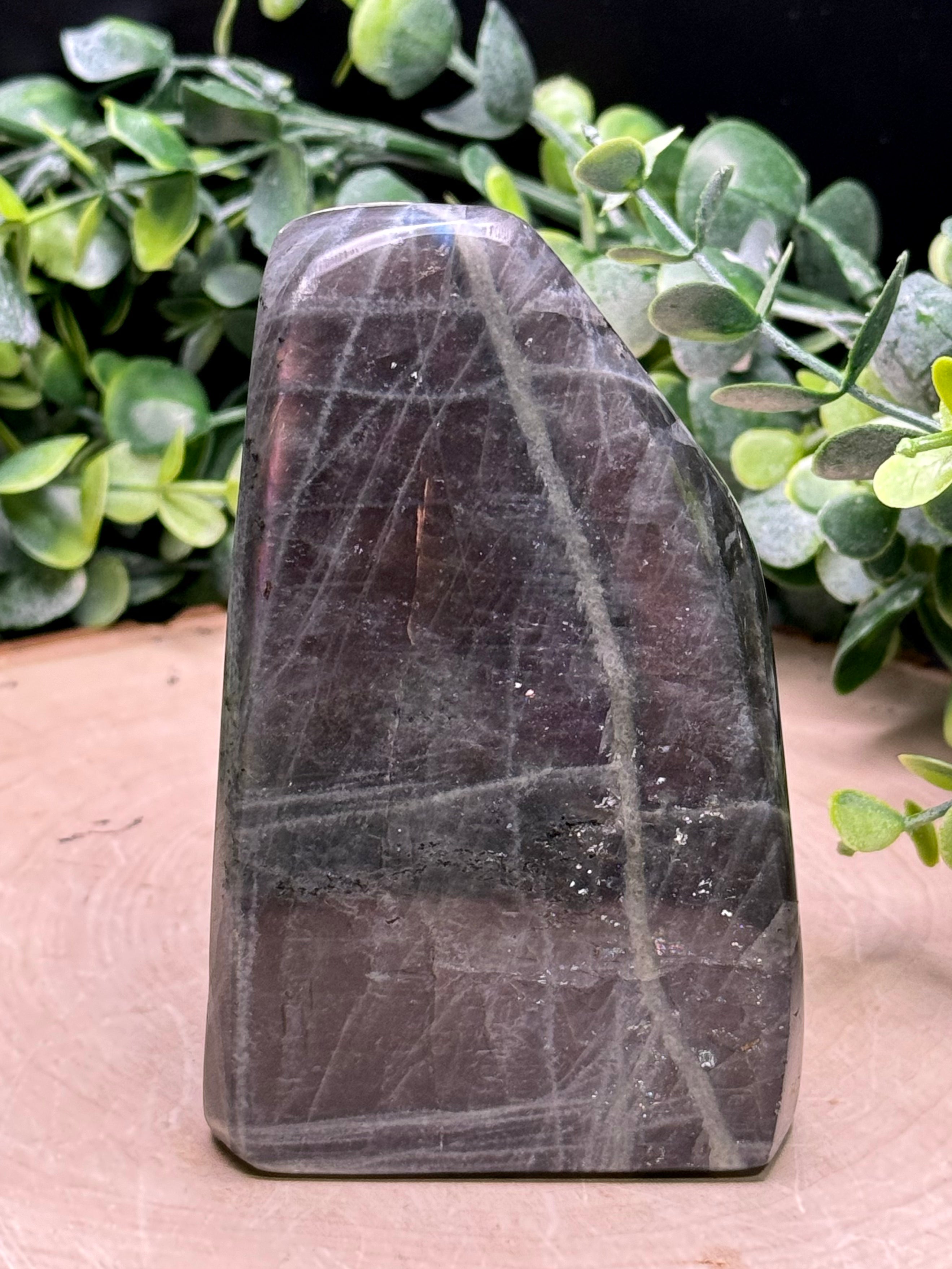 Purple Flash Labradorite Freeforms | Polished Labradorite Display Pieces