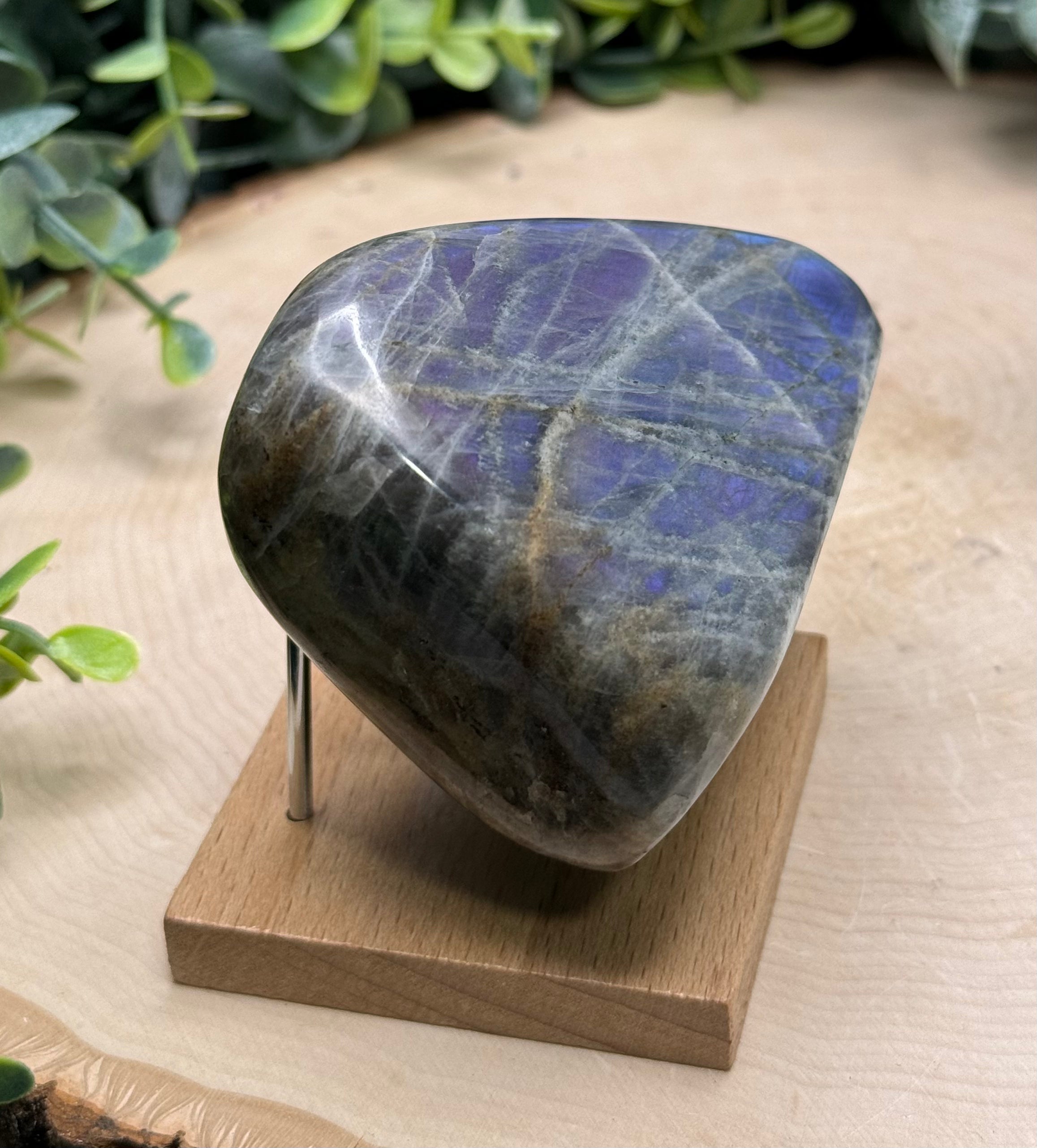 Purple Flash Labradorite Freeforms | Polished Labradorite Display Pieces