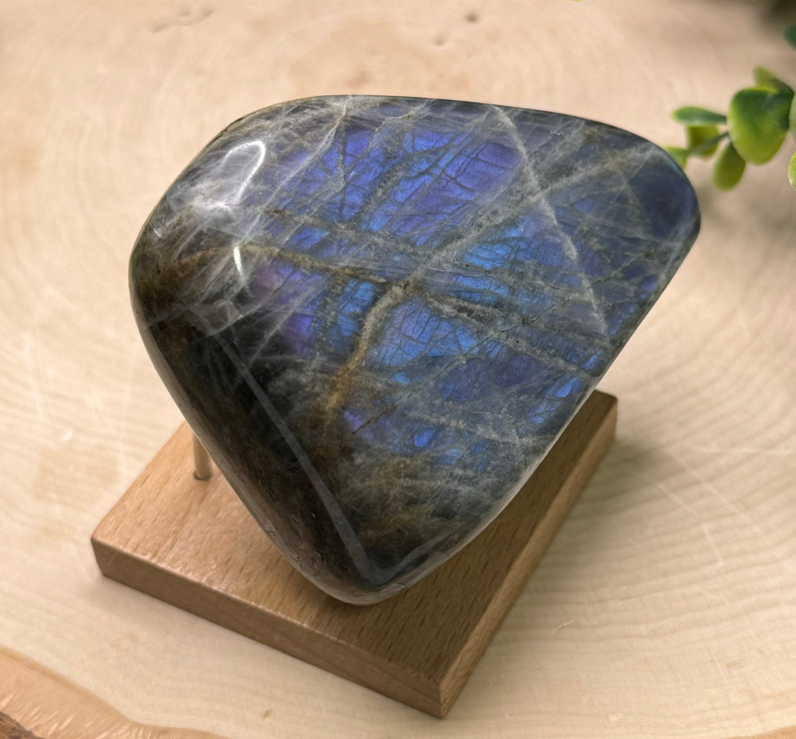 Purple Flash Labradorite Freeforms | Polished Labradorite Display Pieces