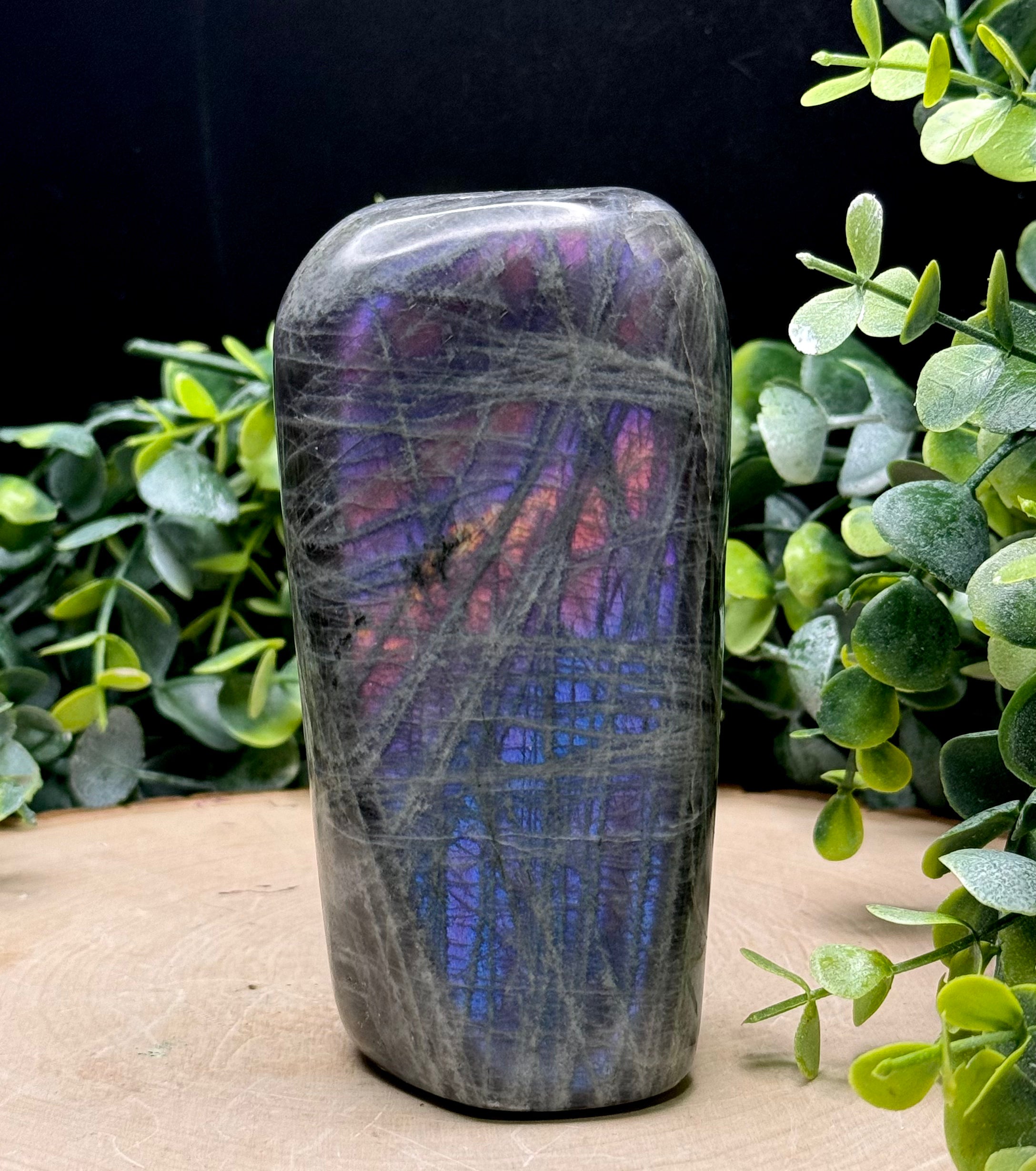 Purple Flash Labradorite Freeforms | Polished Labradorite Display Pieces