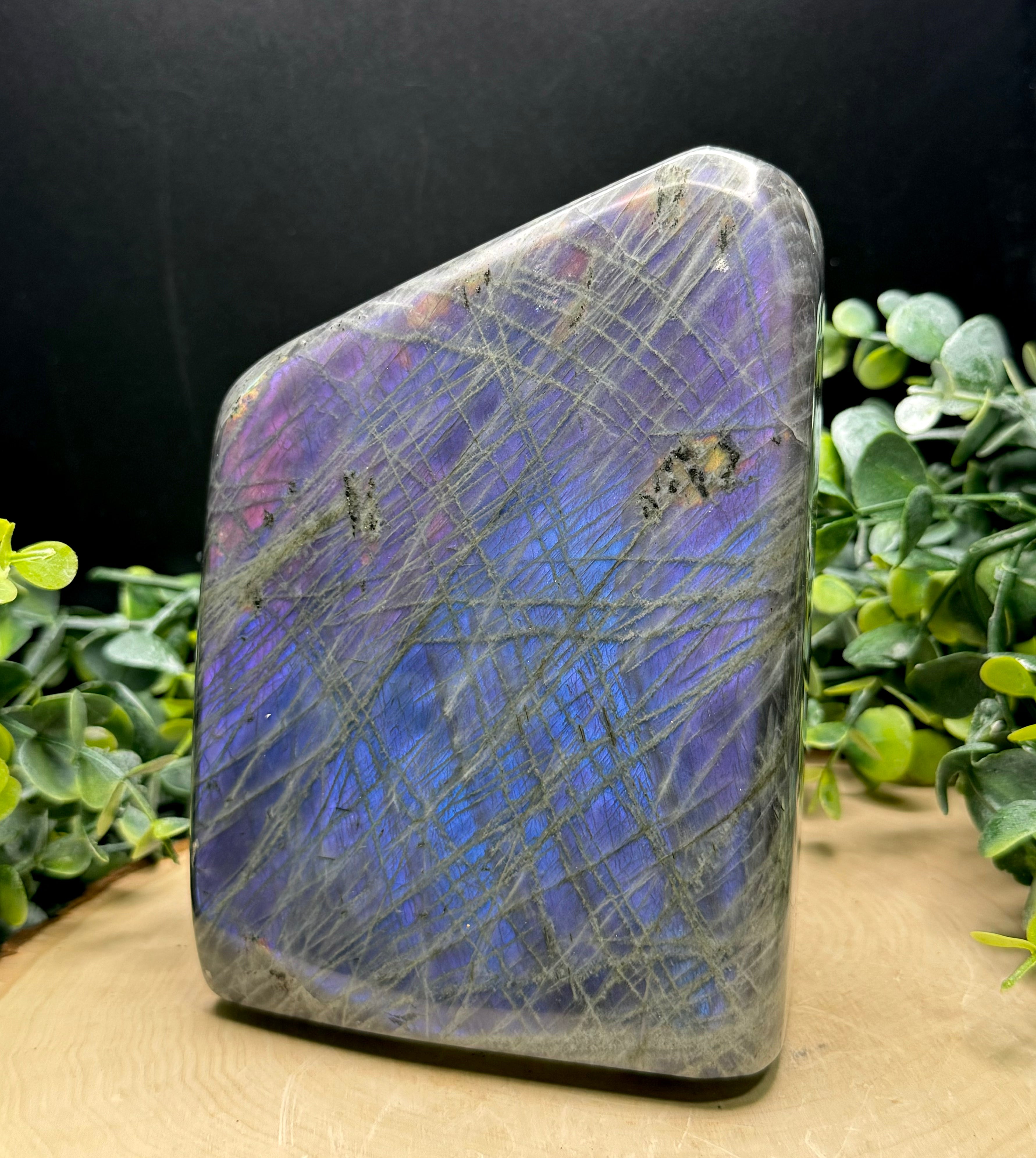 Purple Flash Labradorite Freeforms | Polished Labradorite Display Pieces