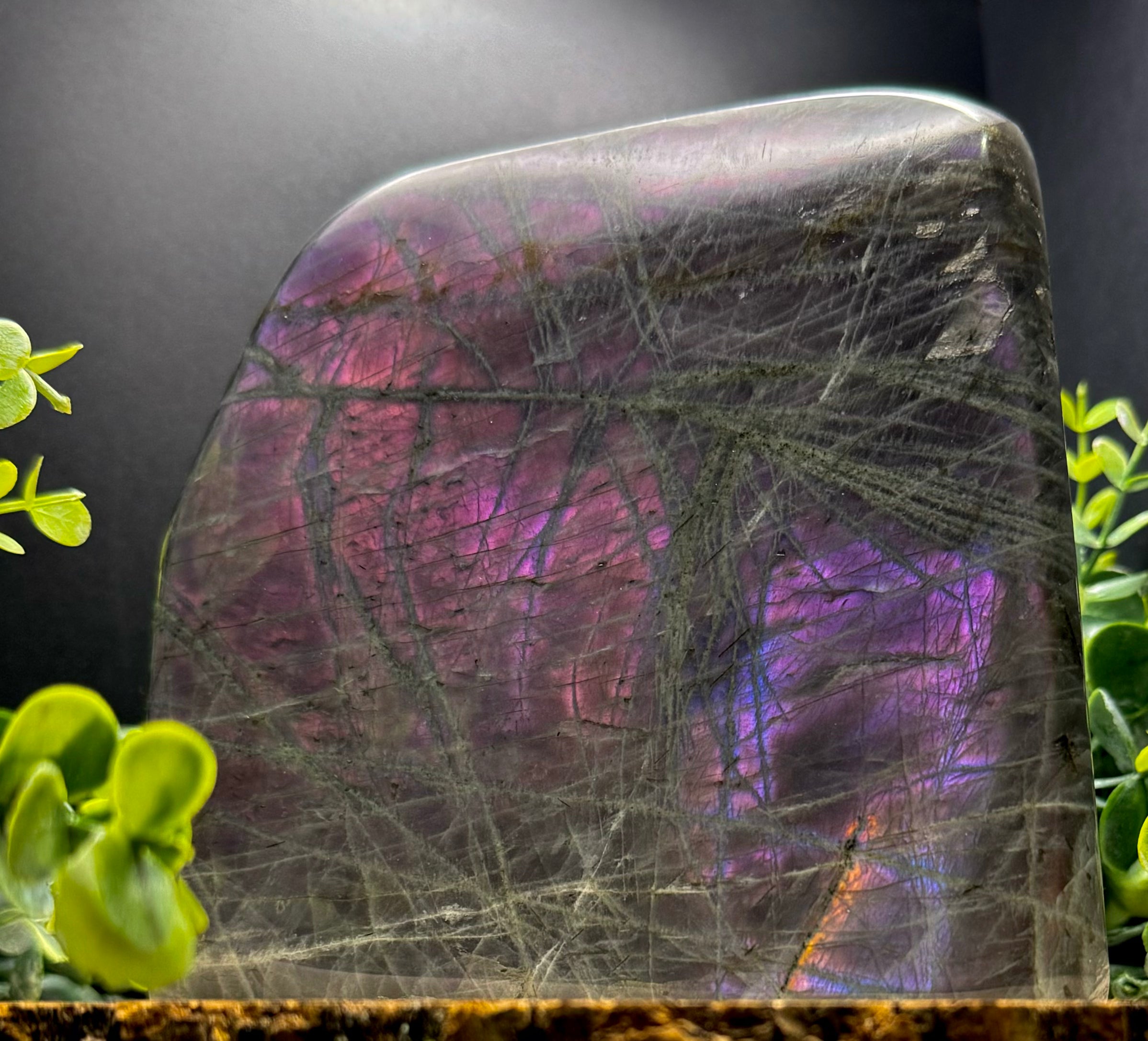Purple Flash Labradorite Freeforms | Polished Labradorite Display Pieces