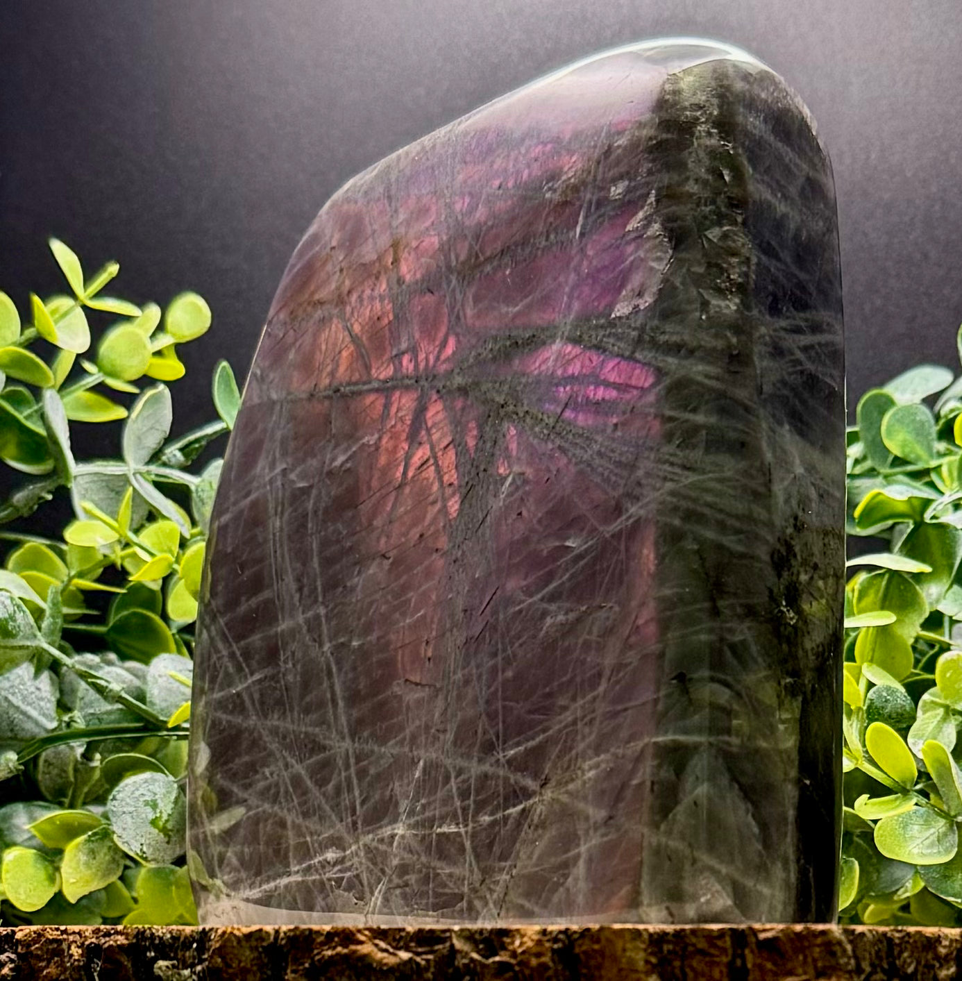 Purple Flash Labradorite Freeforms | Polished Labradorite Display Pieces