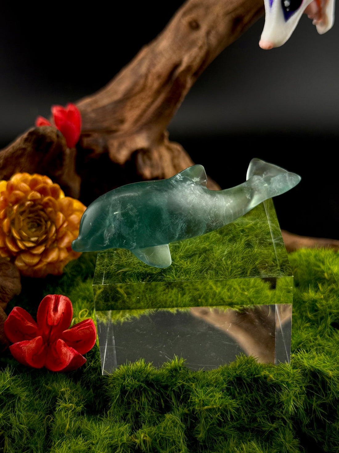 Fluorite Dolphin Carvings