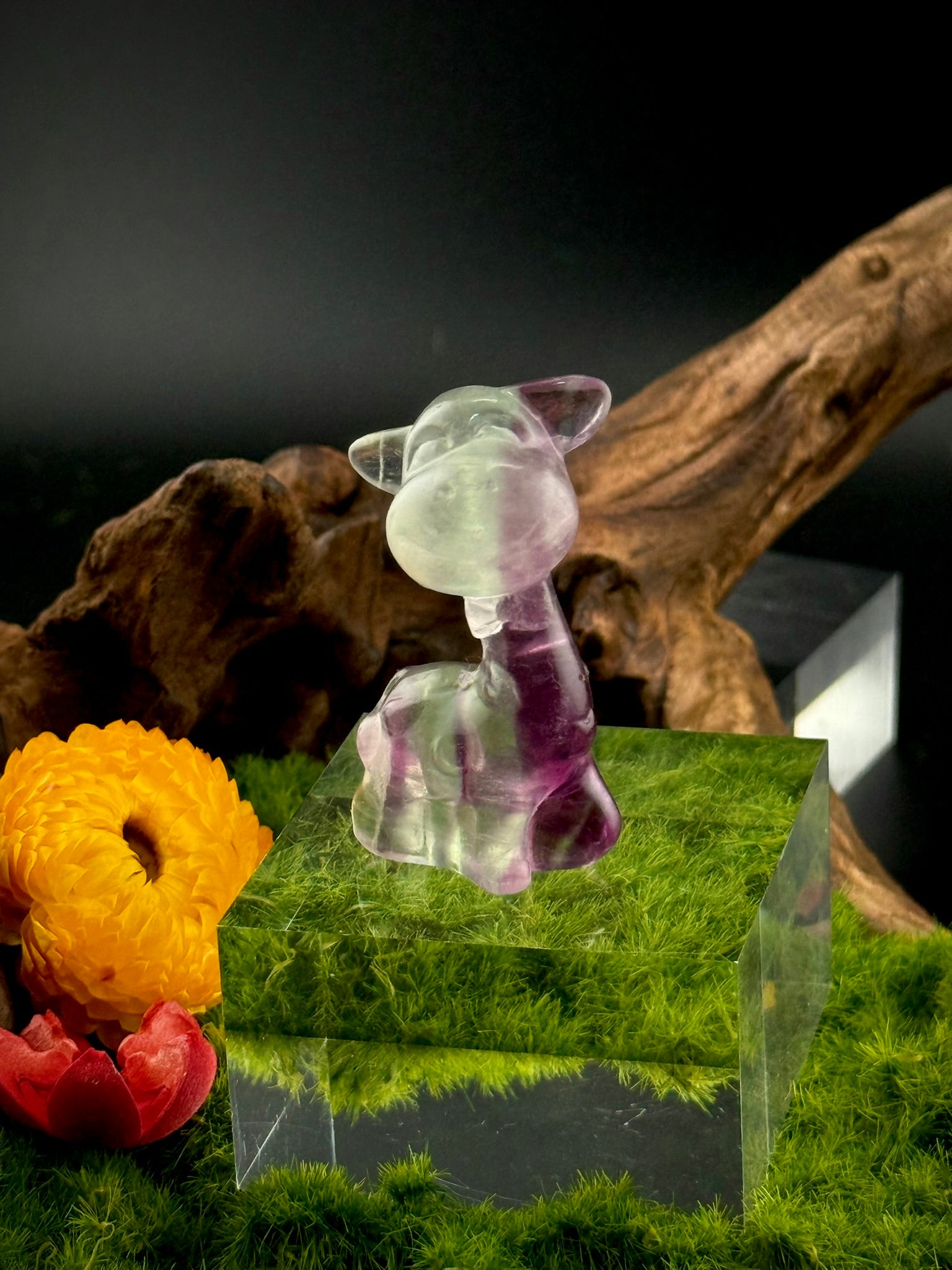 Fluorite Giraffe with Bowtie Carvings