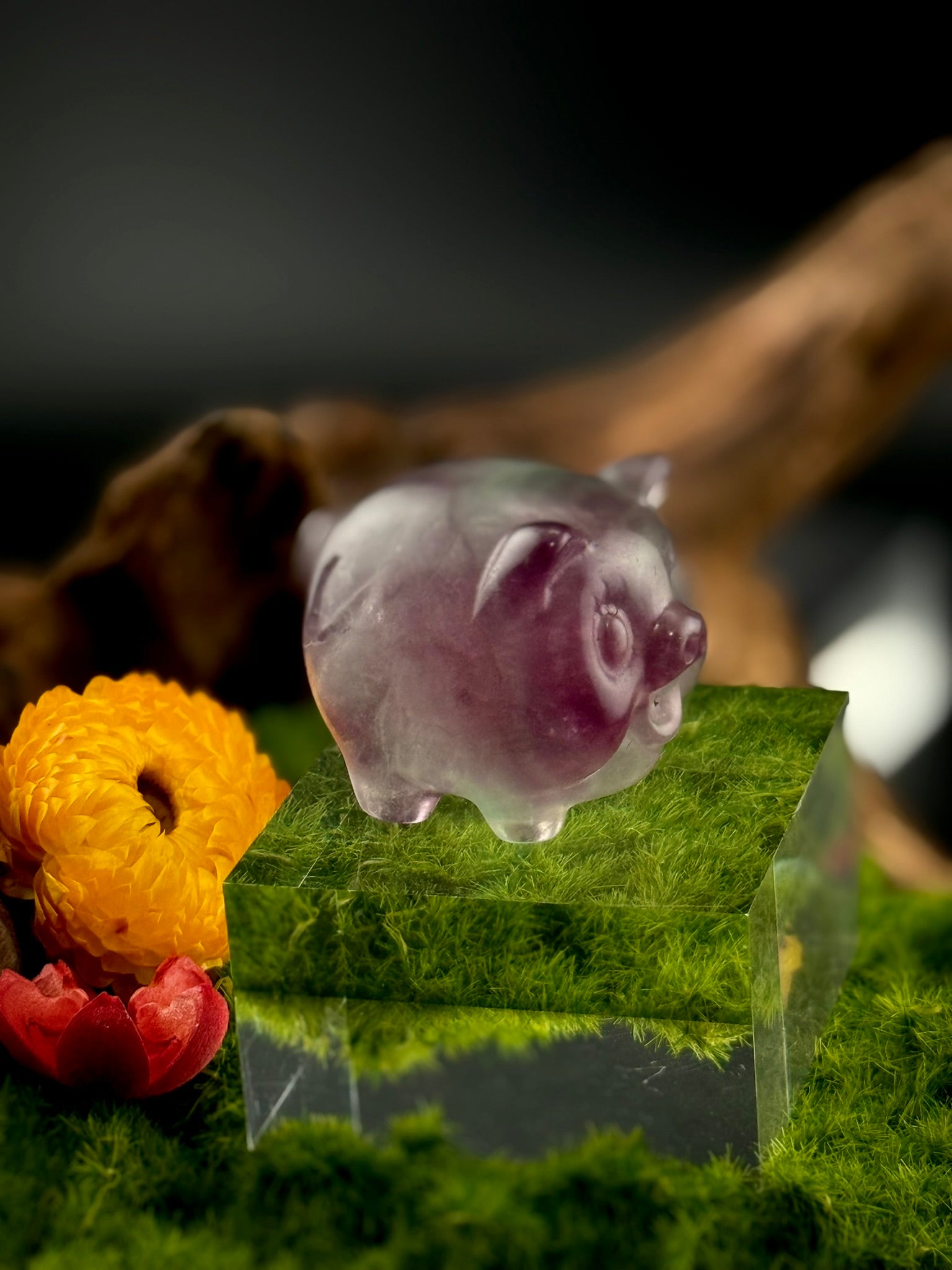 Fluorite Standing Pig Carvings