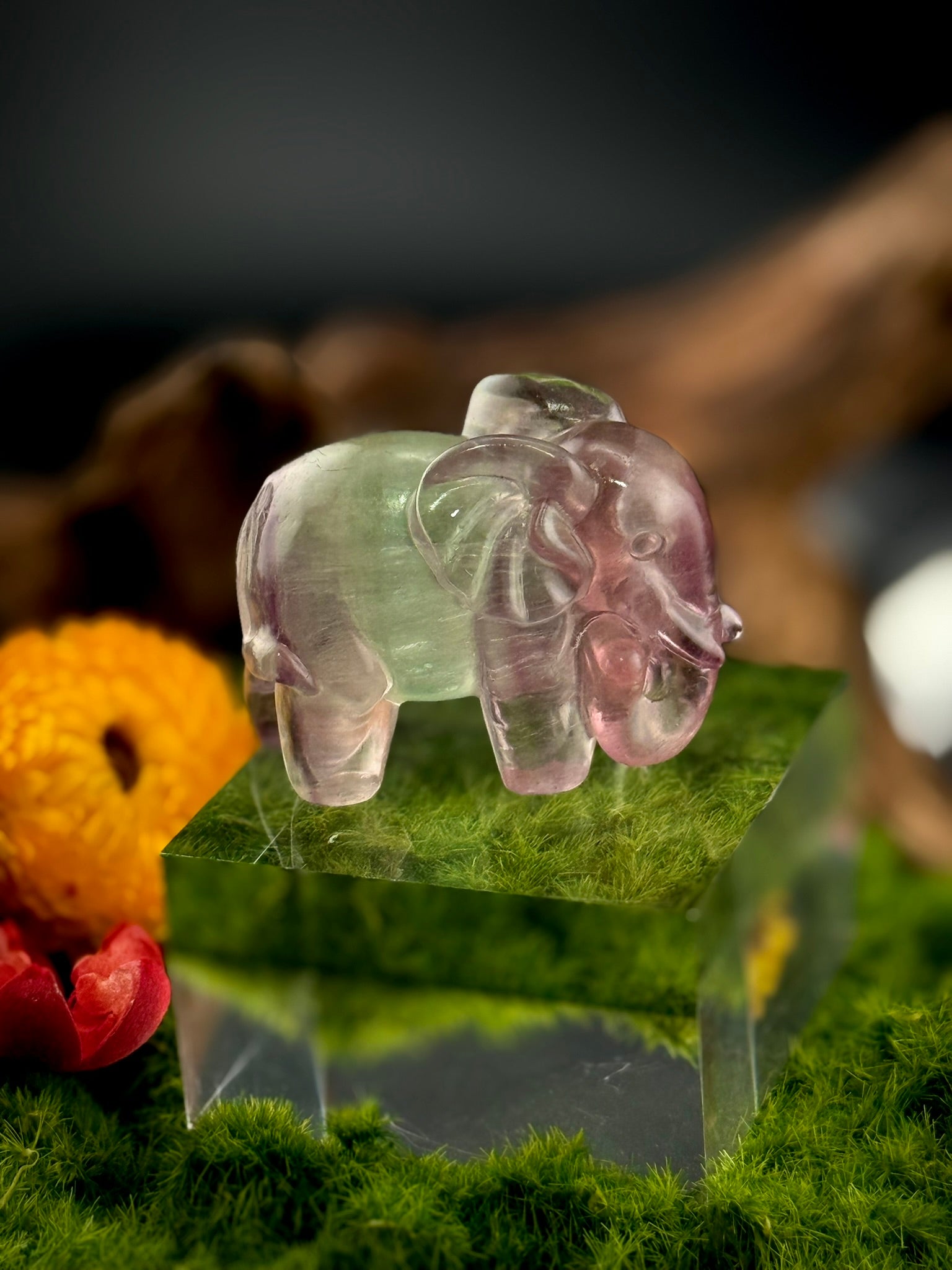 Fluorite Elephant Carvings