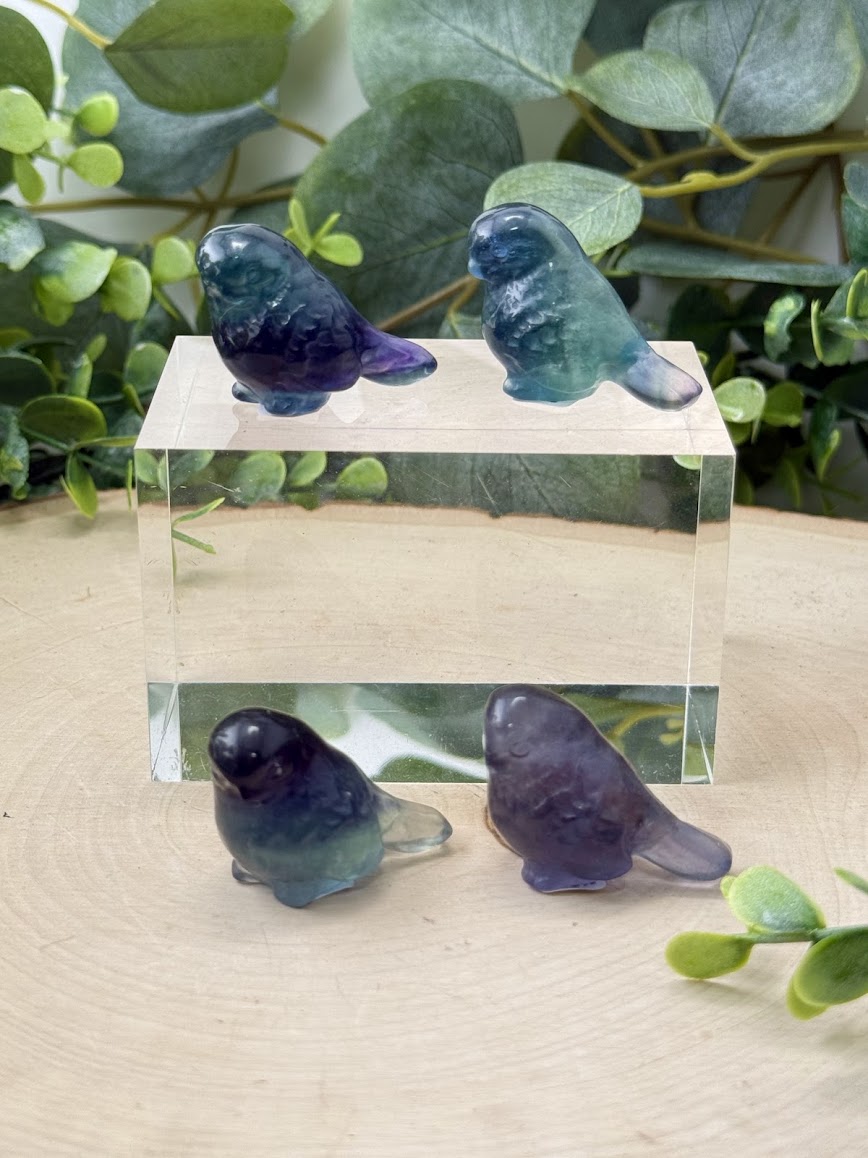 Hand Polished Rainbow Fluorite Bird Carvings | Natural Crystal Gemstone Animal Figurine
