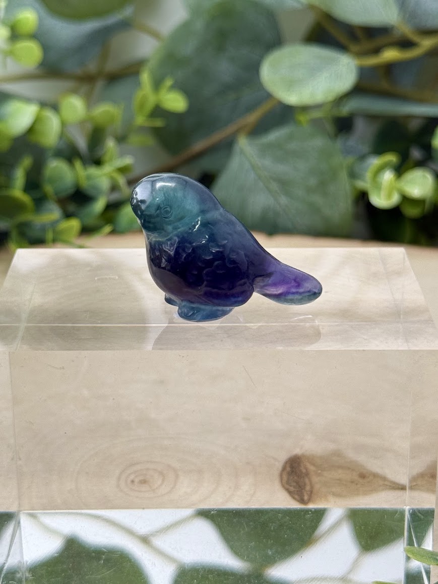 Hand Polished Rainbow Fluorite Bird Carvings | Natural Crystal Gemstone Animal Figurine