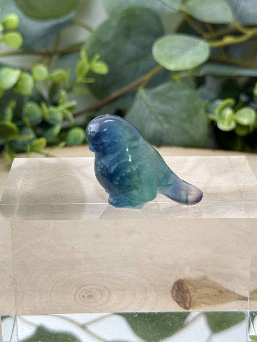 Hand Polished Rainbow Fluorite Bird Carvings | Natural Crystal Gemstone Animal Figurine