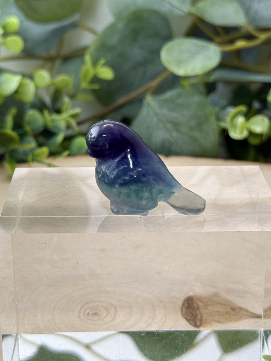 Hand Polished Rainbow Fluorite Bird Carvings | Natural Crystal Gemstone Animal Figurine