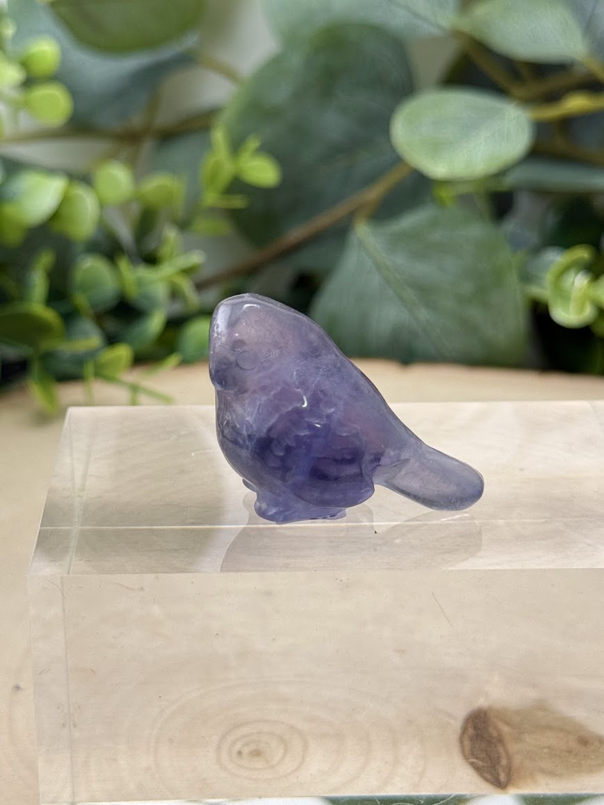 Hand Polished Rainbow Fluorite Bird Carvings | Natural Crystal Gemstone Animal Figurine