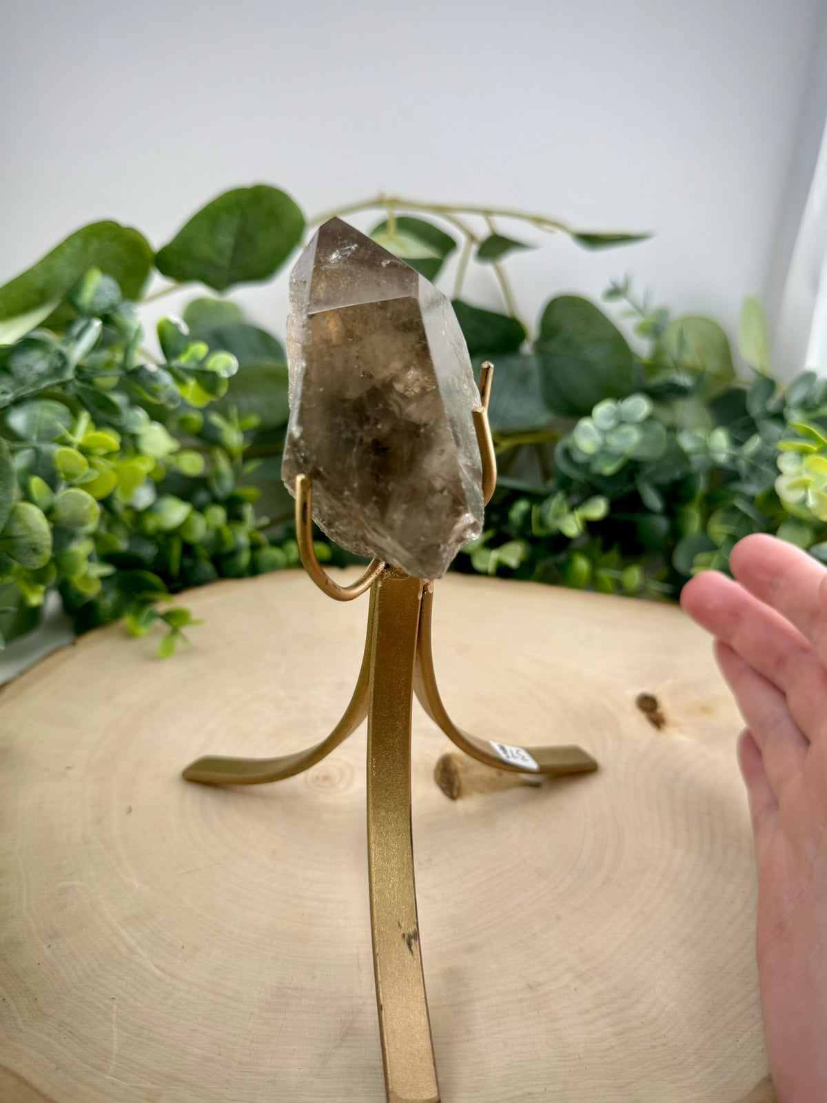 Brazilian Included Quartz Stationary Display Statements | Half Polished Half Raw Crystal with Stand - Still Water Crystals