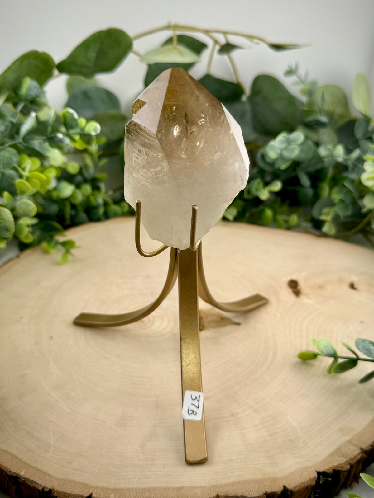 Brazilian Gold Rutilated Quartz | Raw & Polished Crystal with Custom Stand - Still Water Crystals
