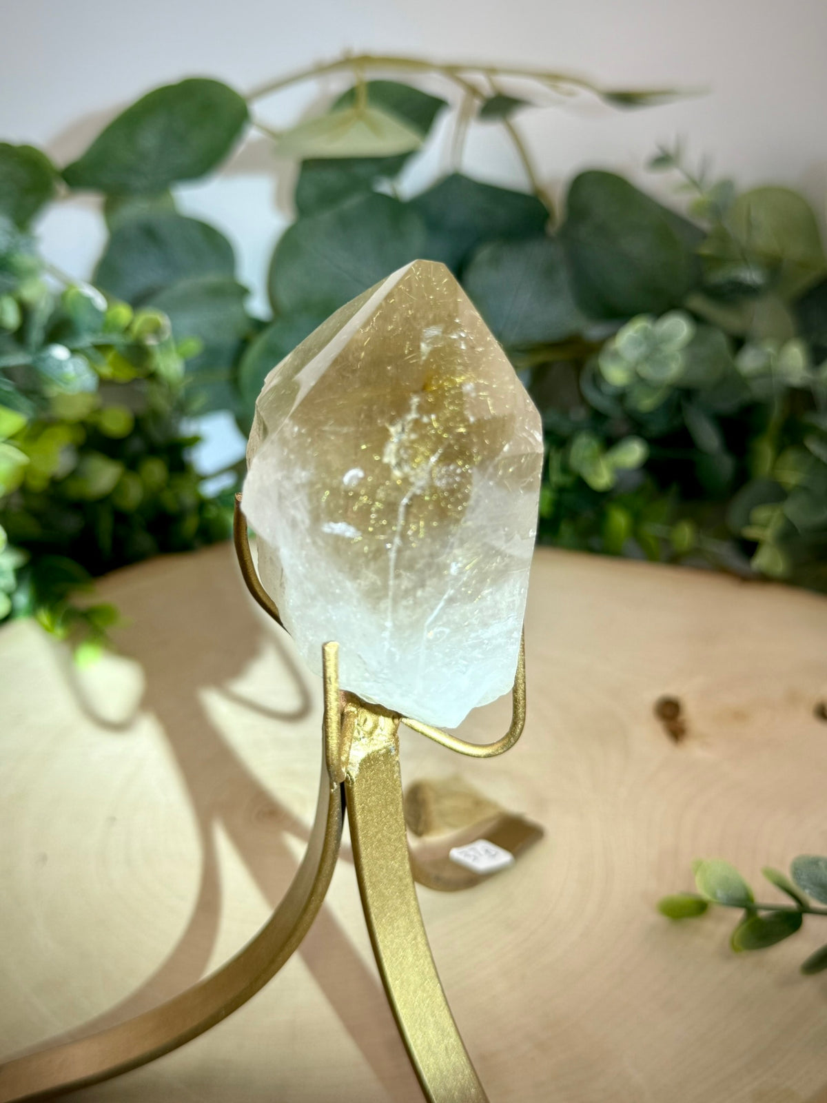 Brazilian Gold Rutilated Quartz | Raw & Polished Crystal with Custom Stand - Still Water Crystals