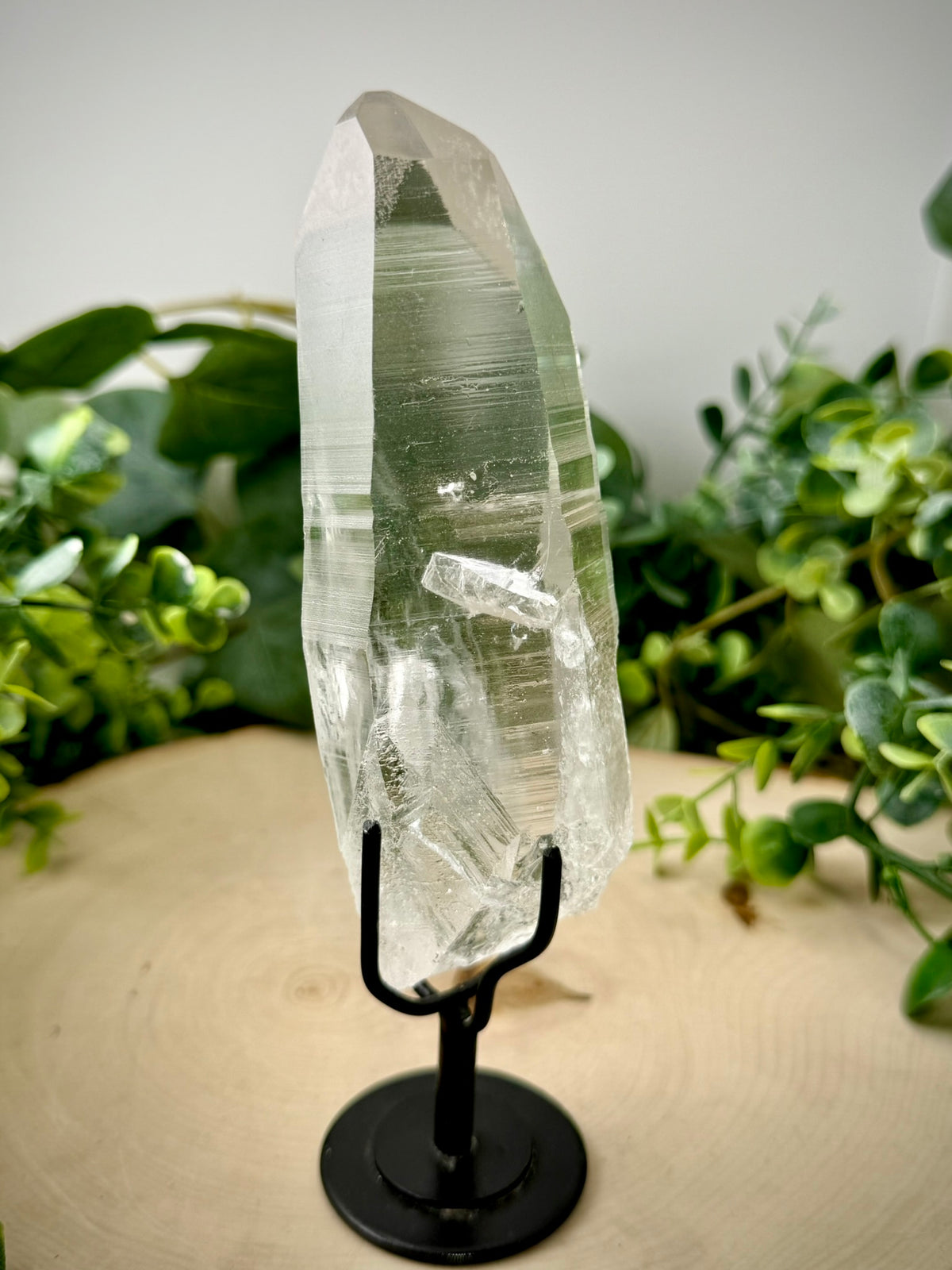 Raw Lemurian Quartz Display | Natural Brazilian Crystal on Stand - Still Water Crystals