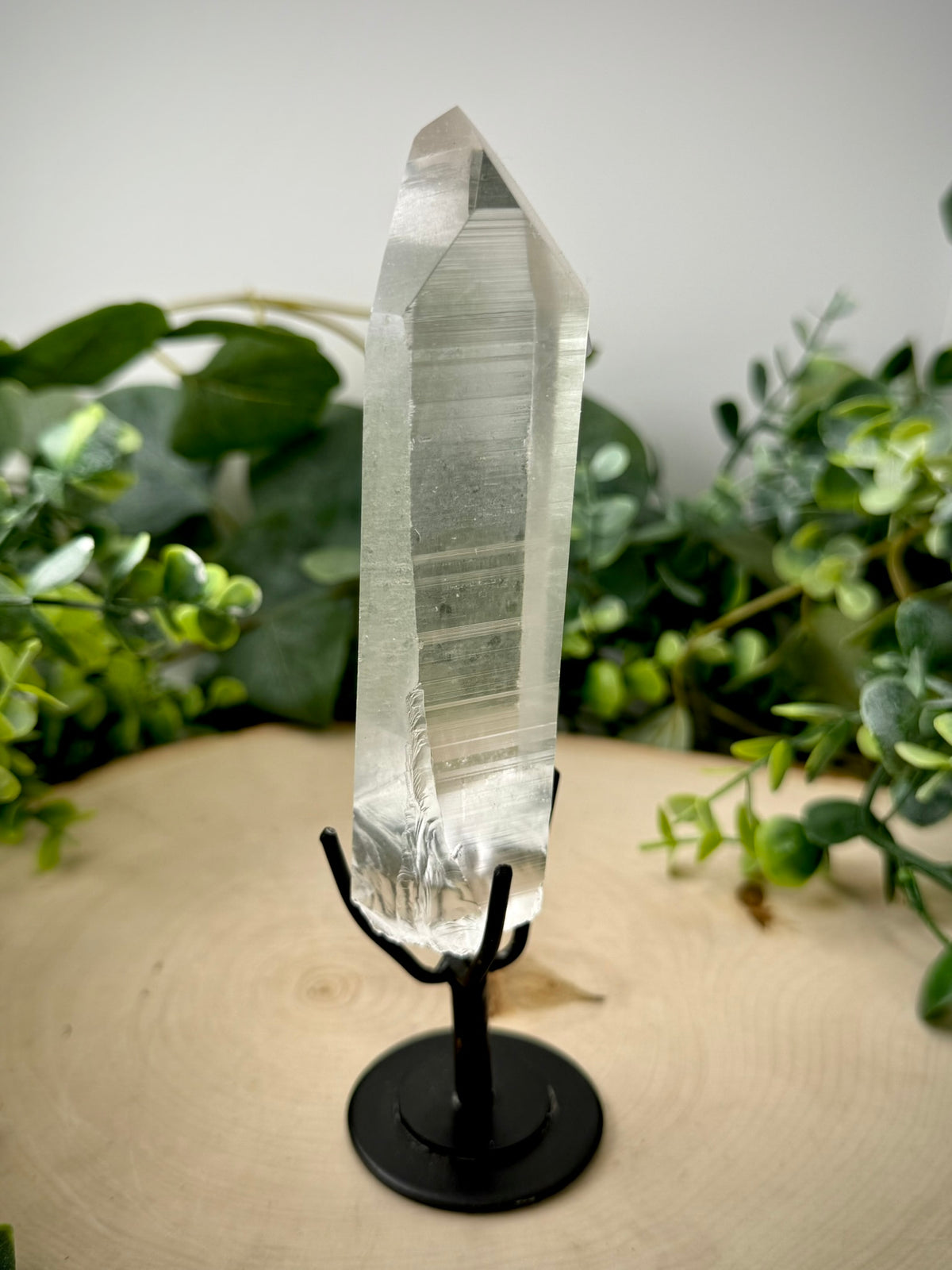 Raw Lemurian Quartz Display | Natural Brazilian Crystal on Stand - Still Water Crystals