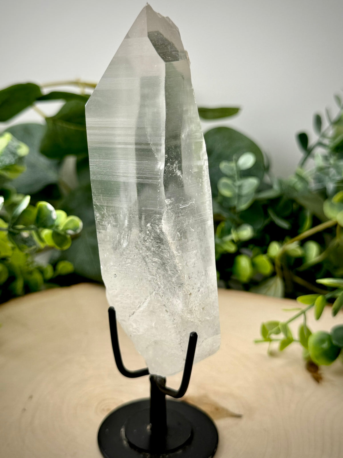 Raw Lemurian Quartz Display | Natural Brazilian Crystal on Stand - Still Water Crystals