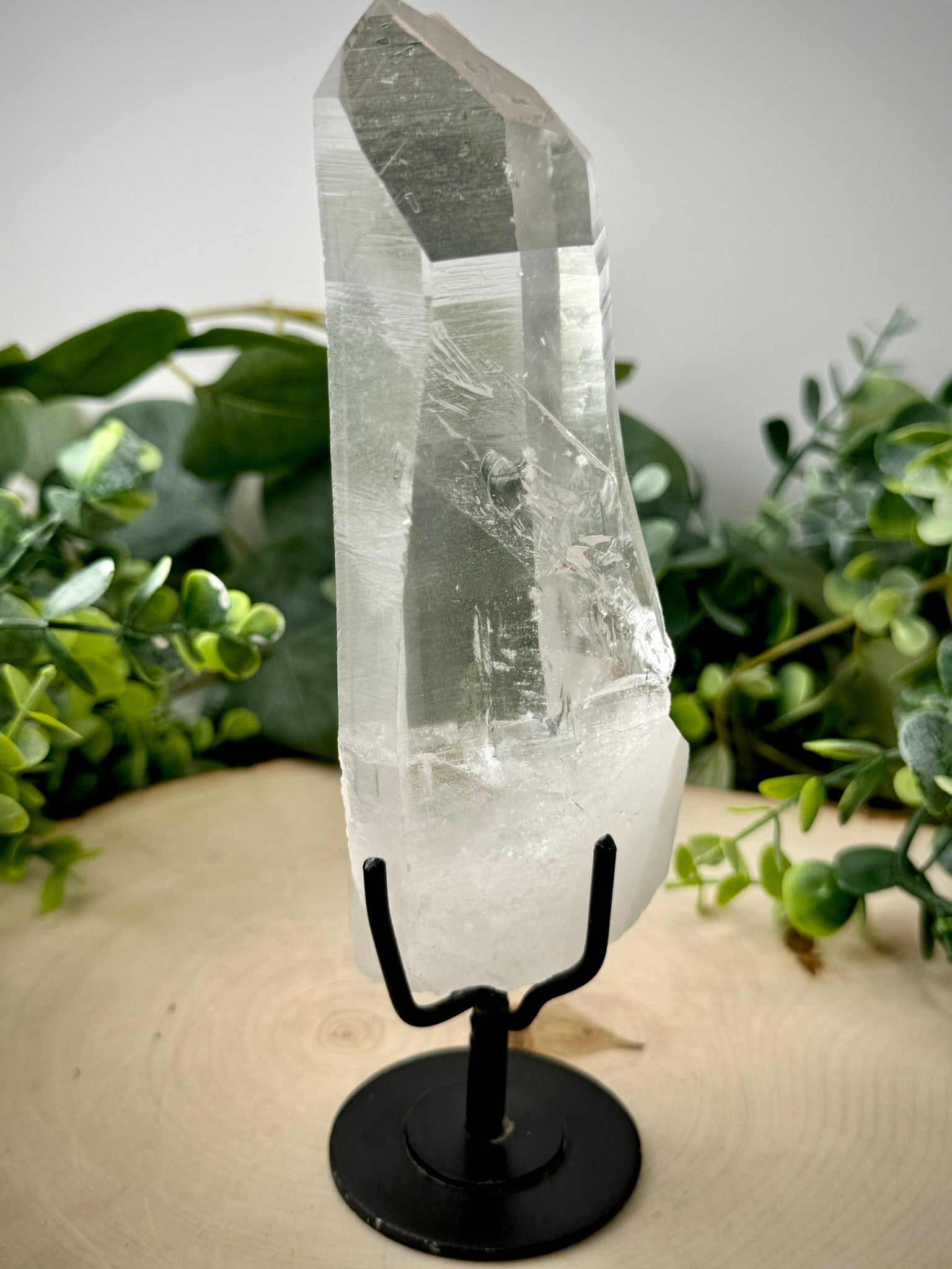 Raw Lemurian Quartz Display | Natural Brazilian Crystal on Stand