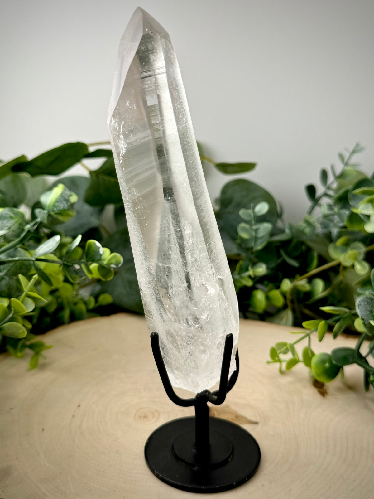 Raw Lemurian Quartz Display | Natural Brazilian Crystal on Stand - Still Water Crystals