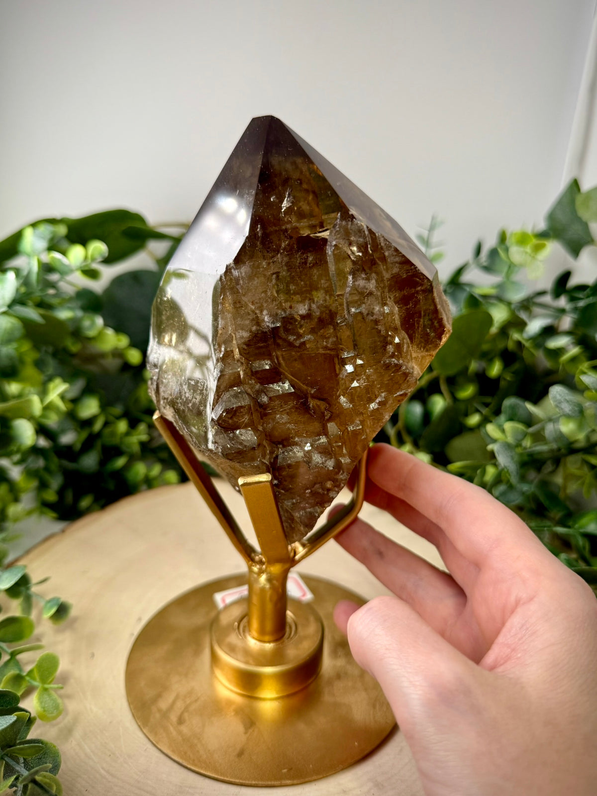 Brazilian Citrine Elestial Quartz | Collector Display Specimen on Custom Rotating Display Stand