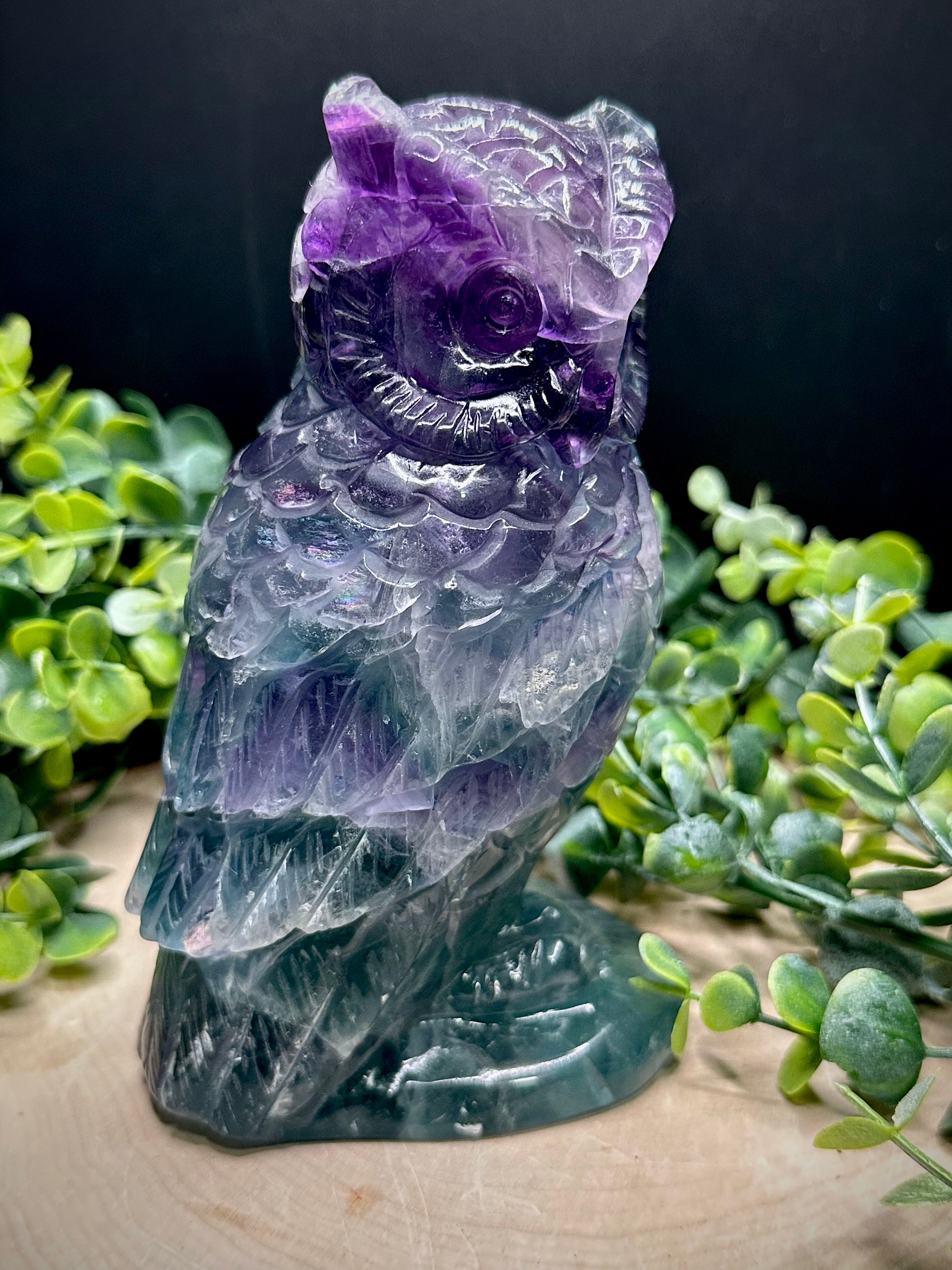 Fluorite Owl Statement Carving