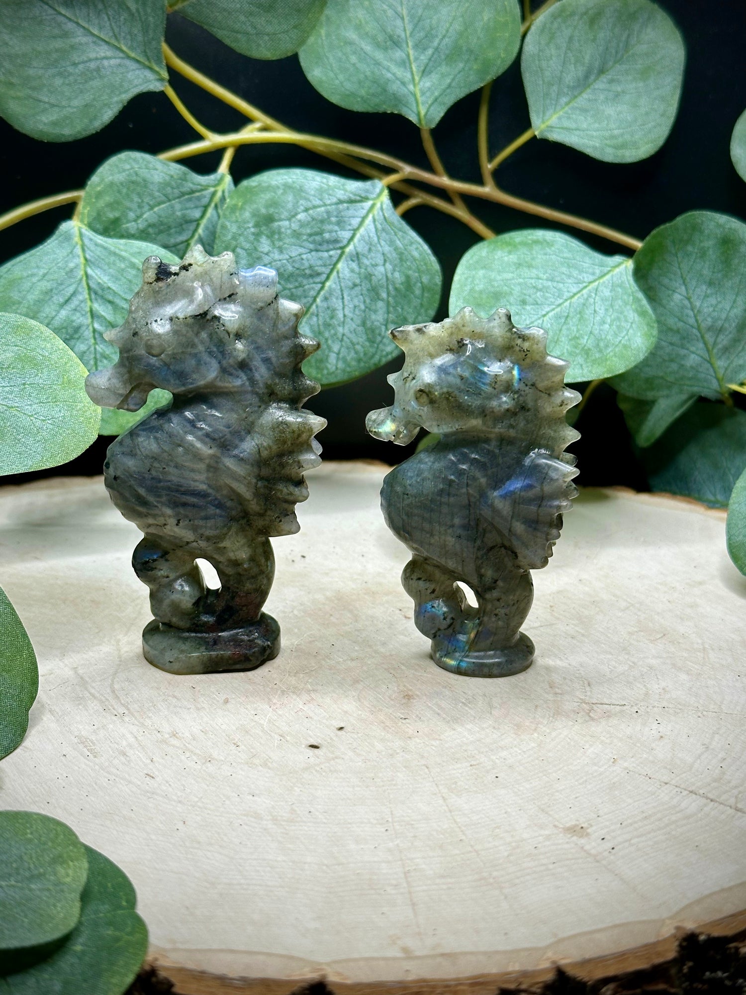 Labradorite Sea Horse Carving