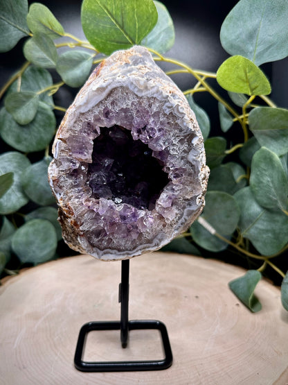 Amethyst Geodes on Stand