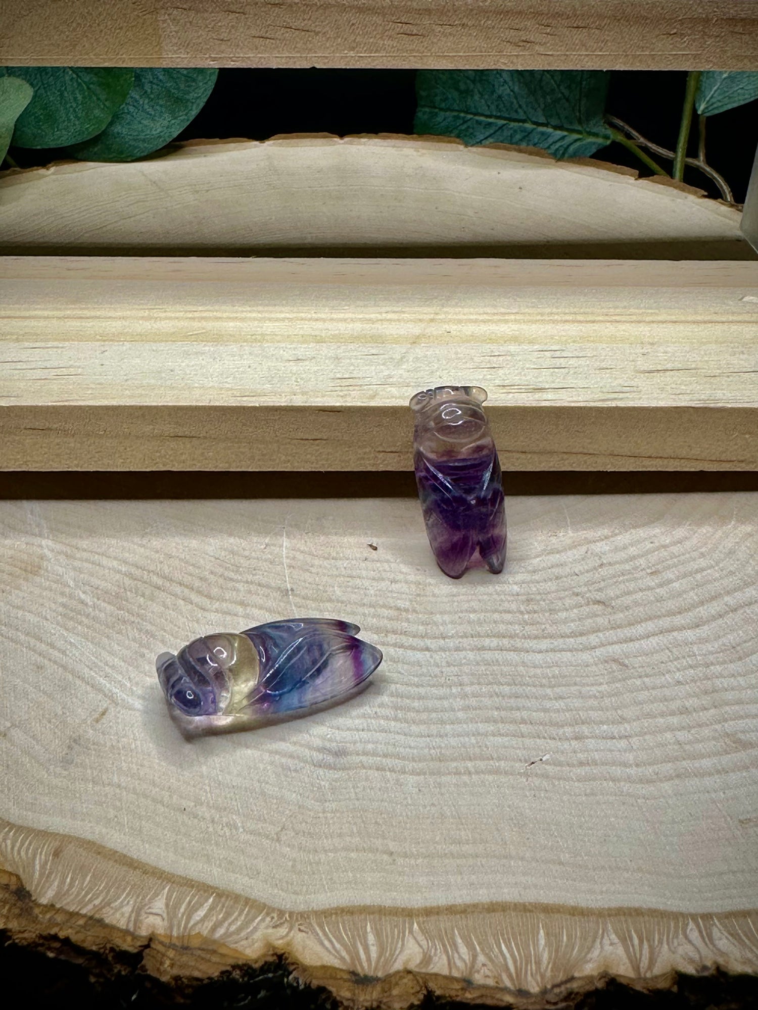 Mini Fluorite Cicada Carvings