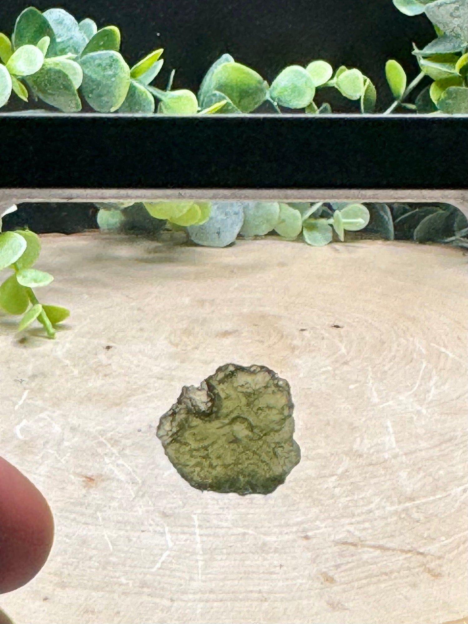 Moldavite Raw Forms