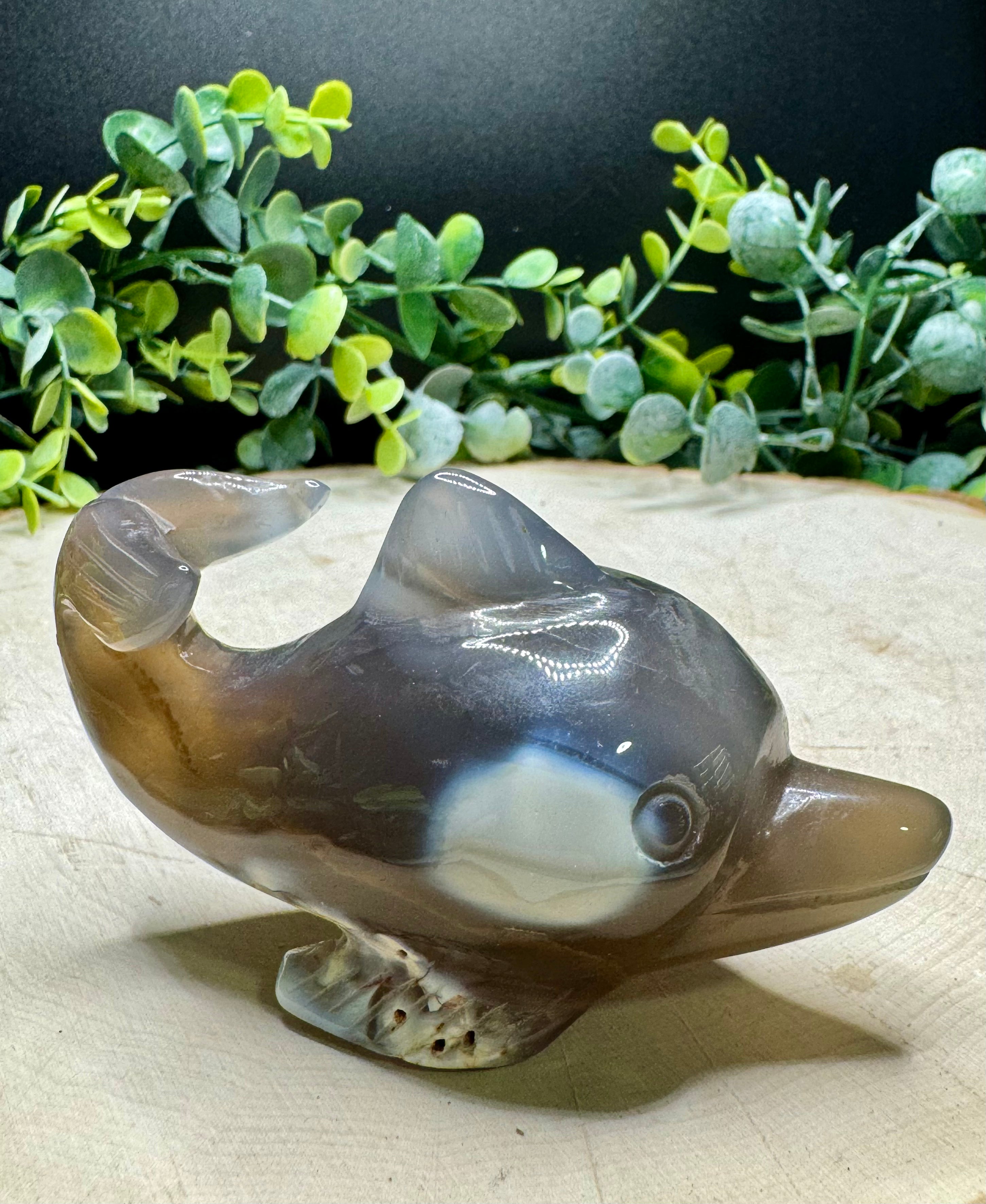 Orca Agate Dolphin Carving