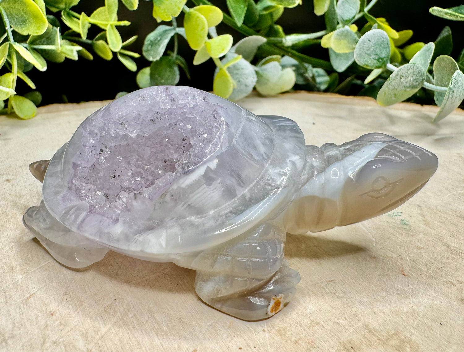 Druzy Agate w/ Amethyst Turtle Carving