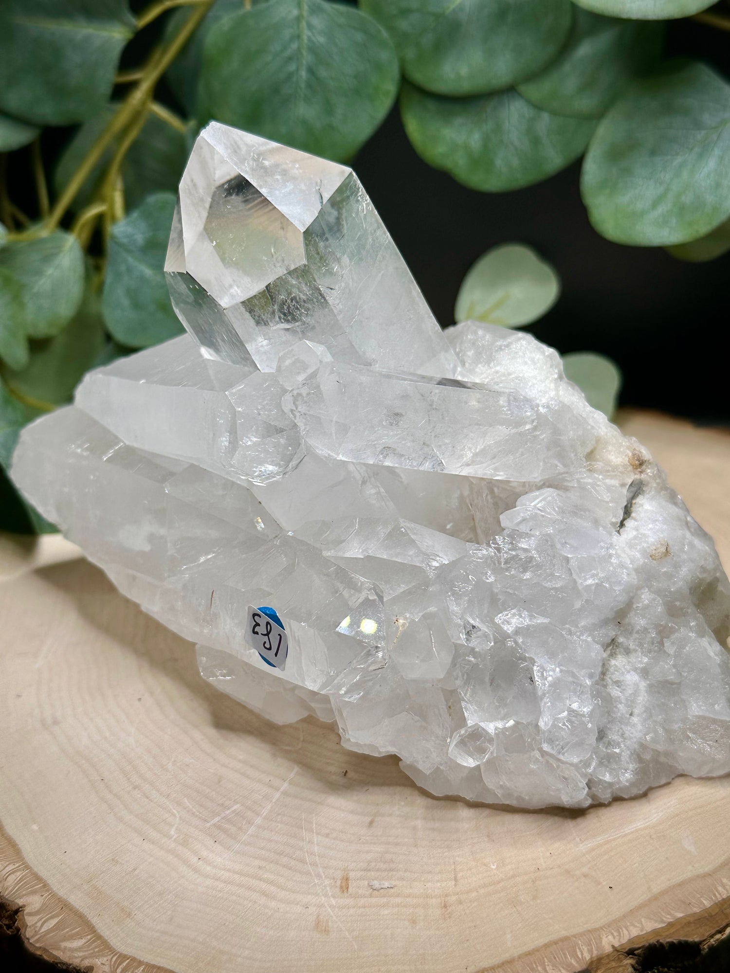 Brazilian Clear Quartz Statement Cluster 