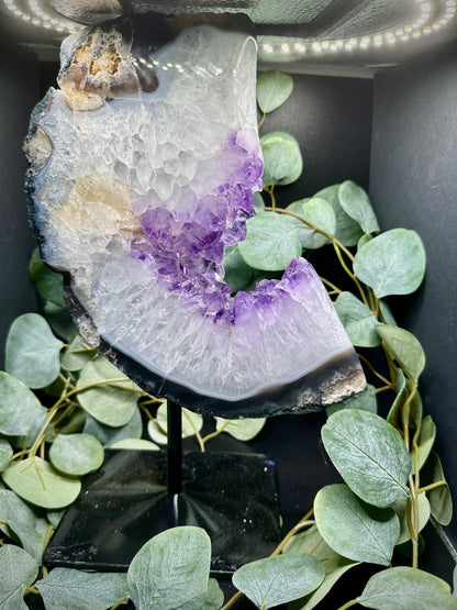 Brazilian Amethyst Slices on Stands