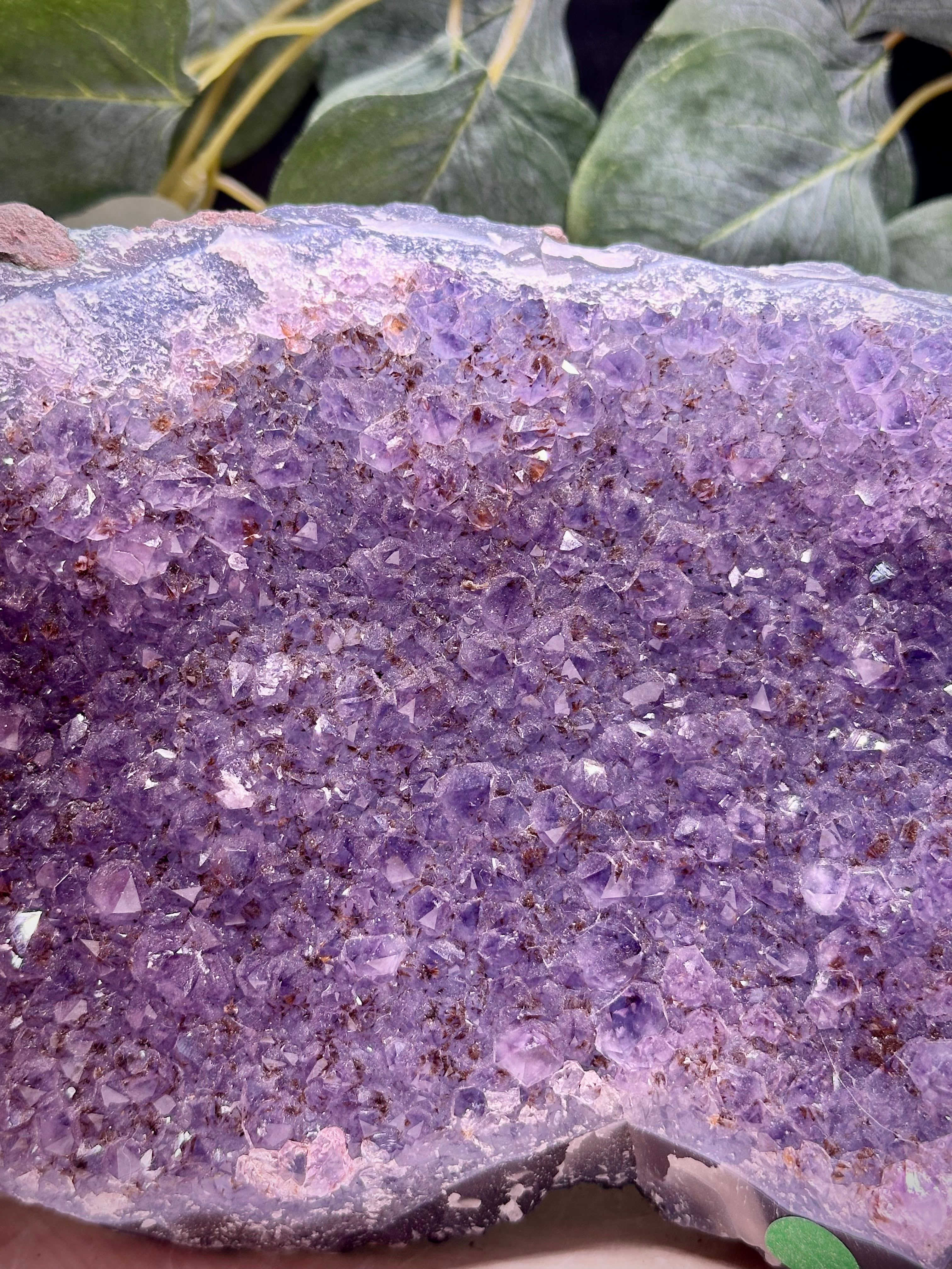 Brazilian Amethyst Statement Cluster